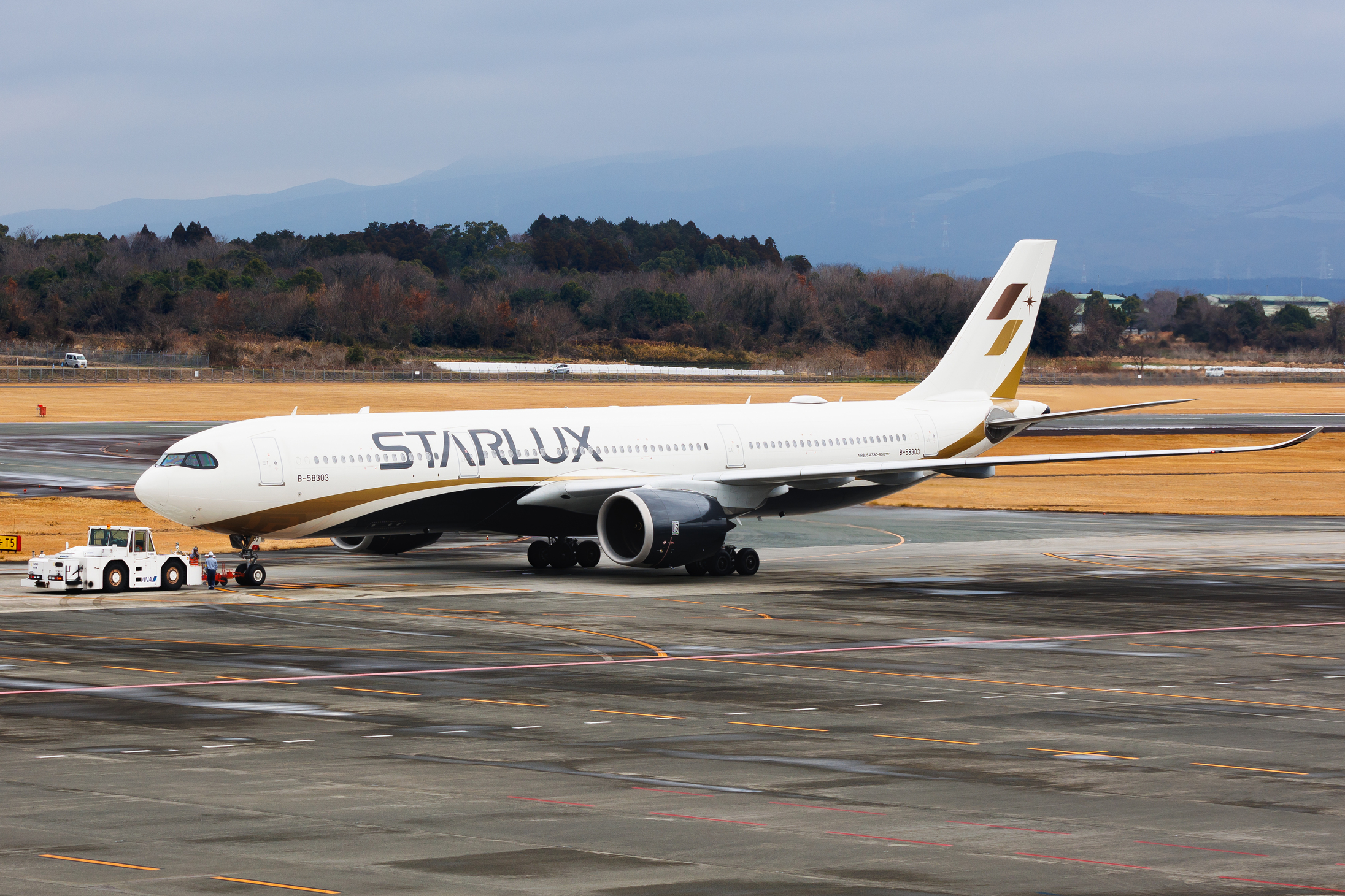 Full size: Starlux Airlines Airbus A330-900 B-58303 at Kumamoto Airport