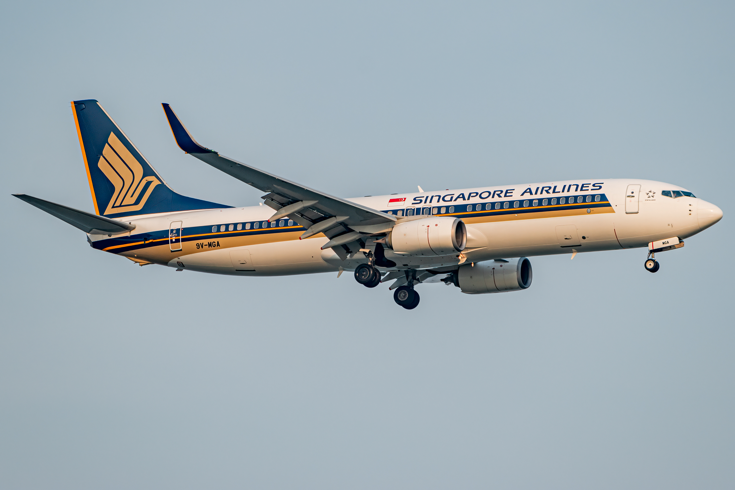 Full size: Singapore Airlines Boeing 737-800 9V-MGA at Singapore-Changi Airport