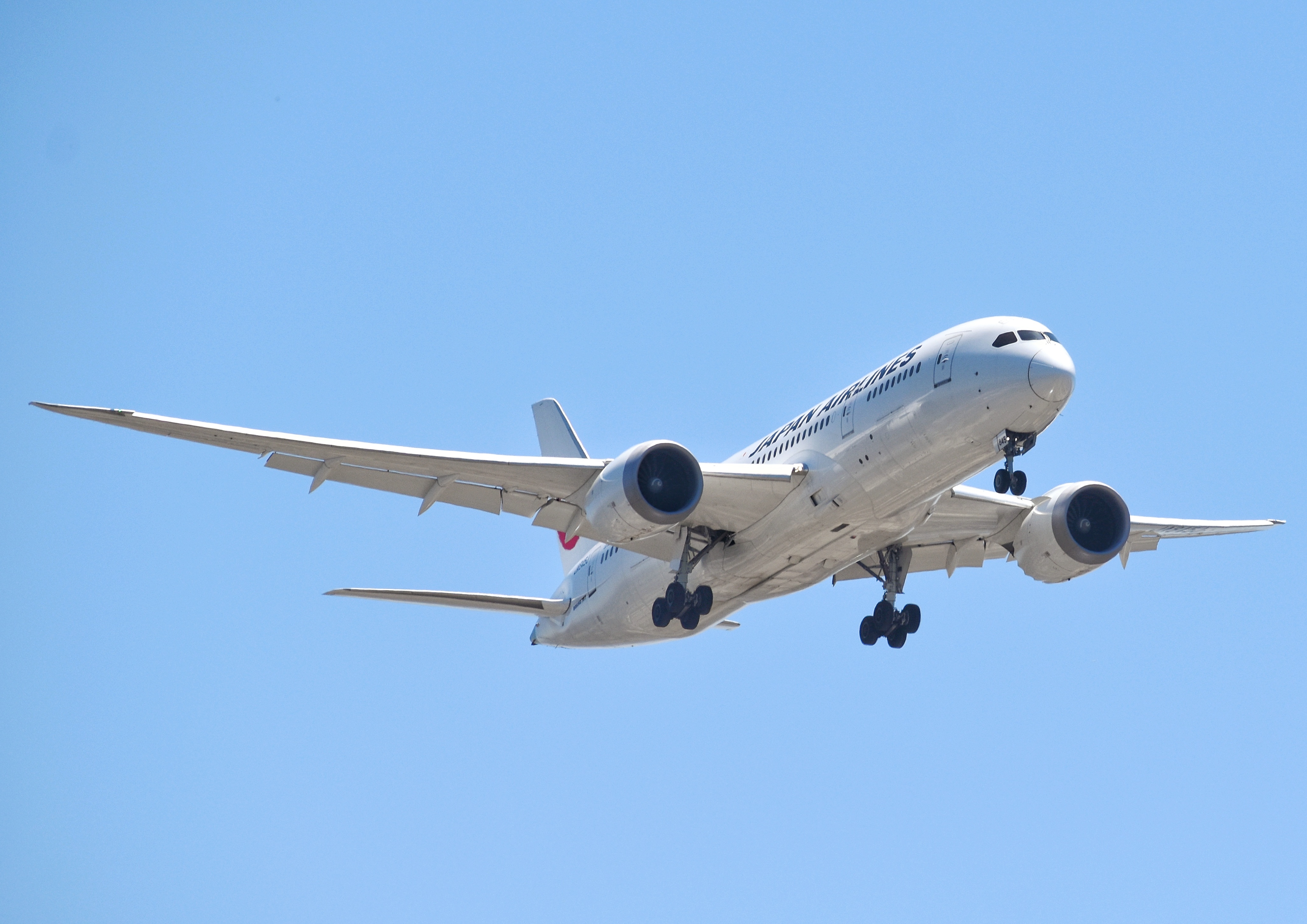Full size: Japan Airlines  Boeing 787-8 JA845J at San Diego International Airport