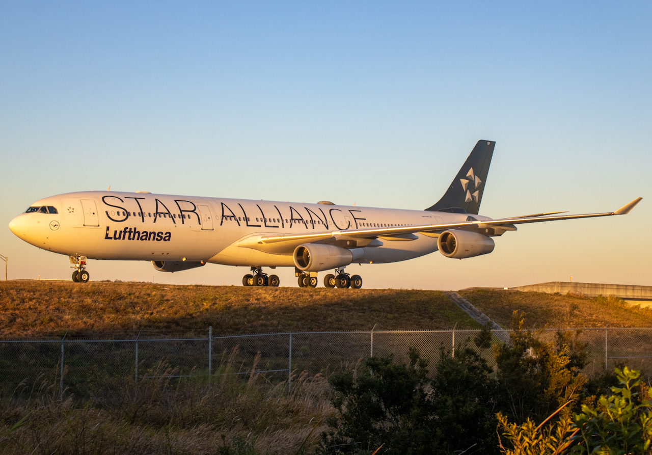 Full size: Lufthansa Airbus A340-300 D-AIGP at Orlando International Airport