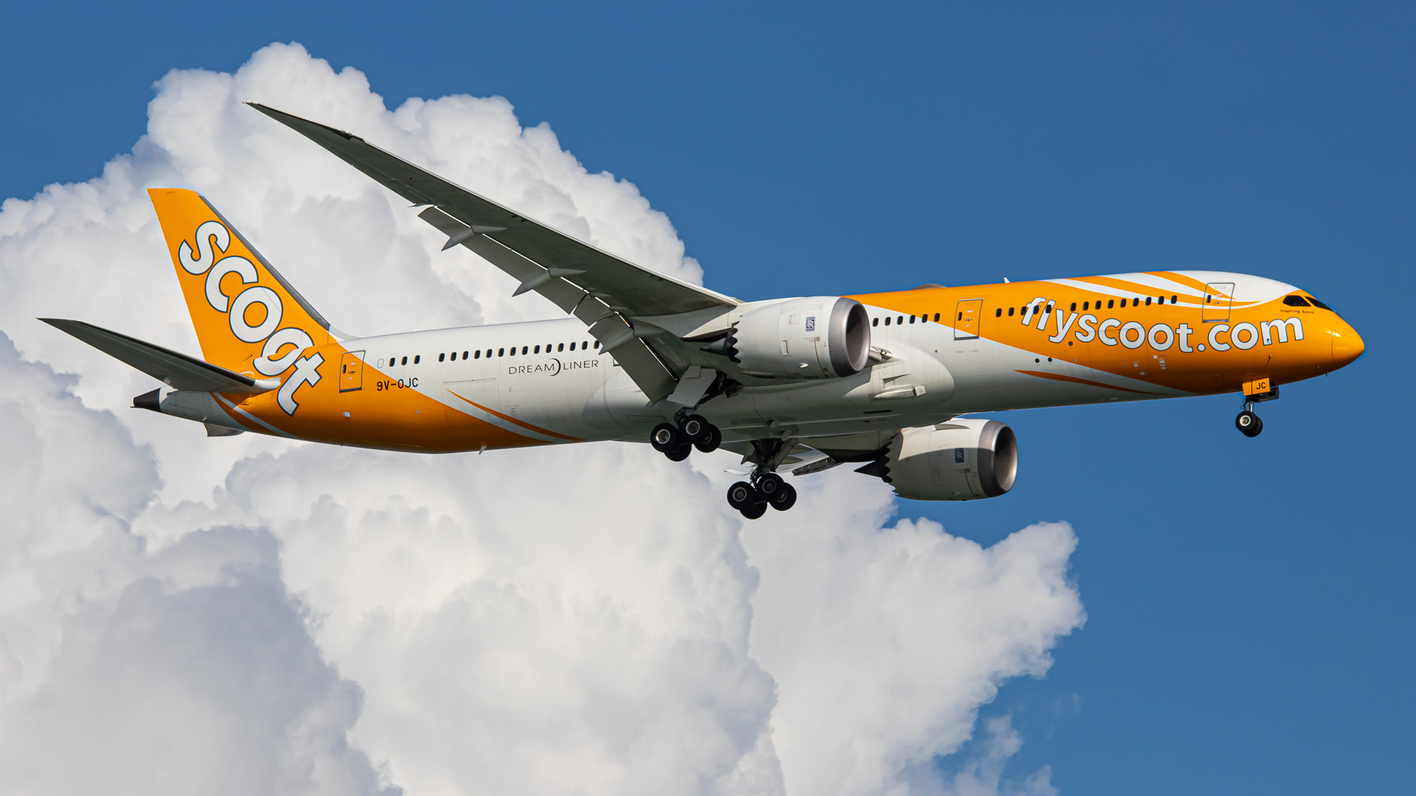 Full size: Scoot Boeing 787-9 9V-OJC at Singapore-Changi Airport