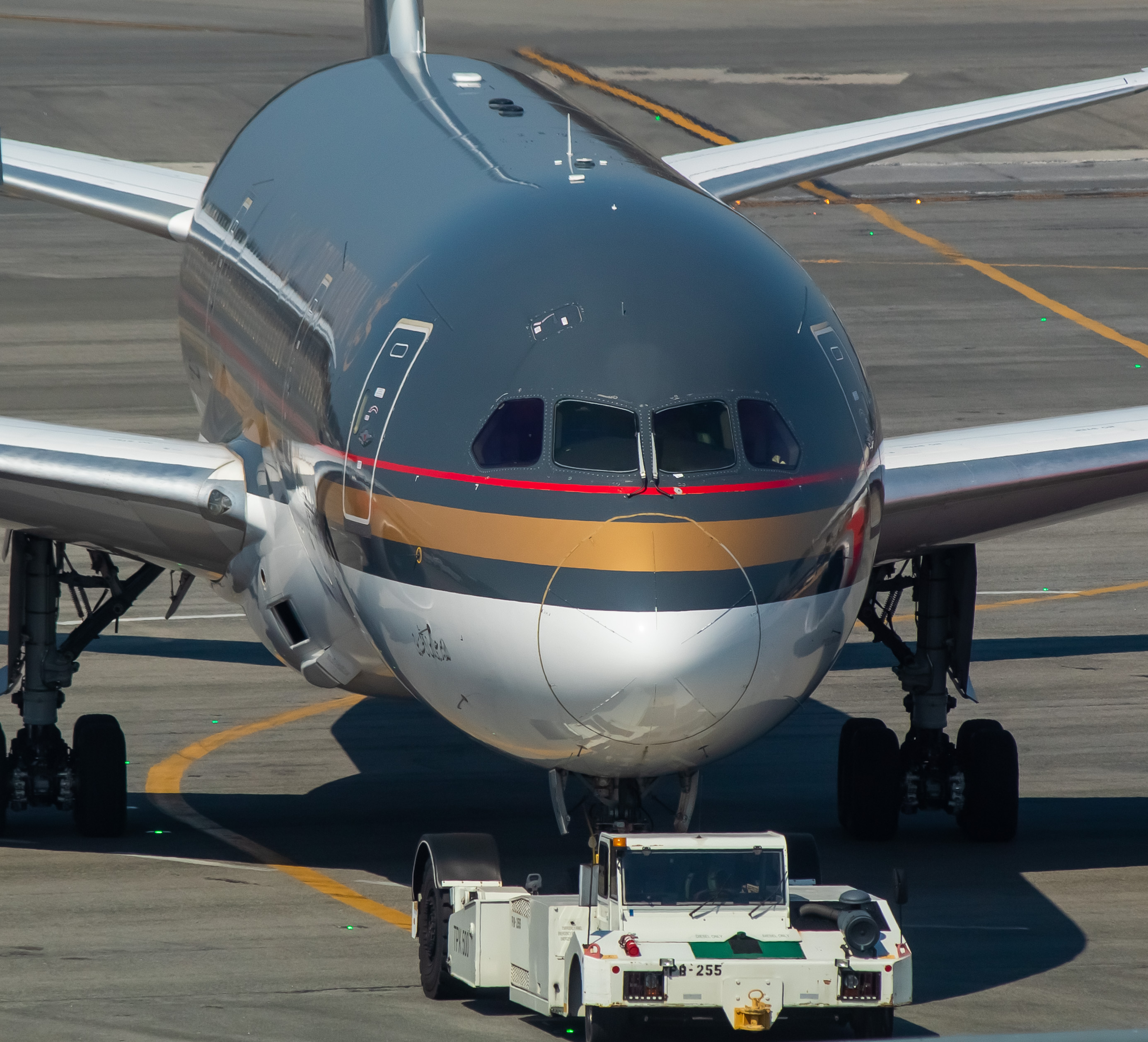 Full size: Royal Jordanian  Boeing 787-8 JY-BAE at John F. Kennedy International Airport