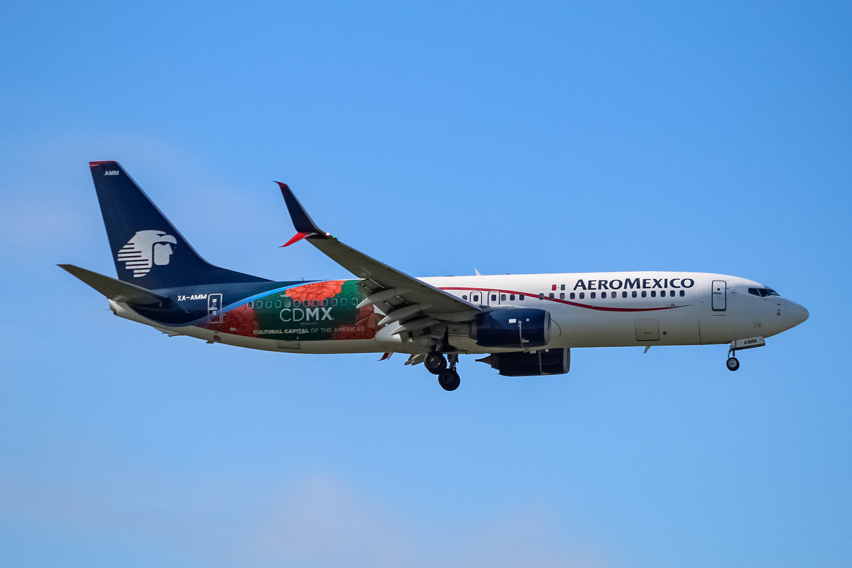 Full size: Aeromexico Boeing 737-800 XA-AMM at Houston-George Bush Intercontinental Airport
