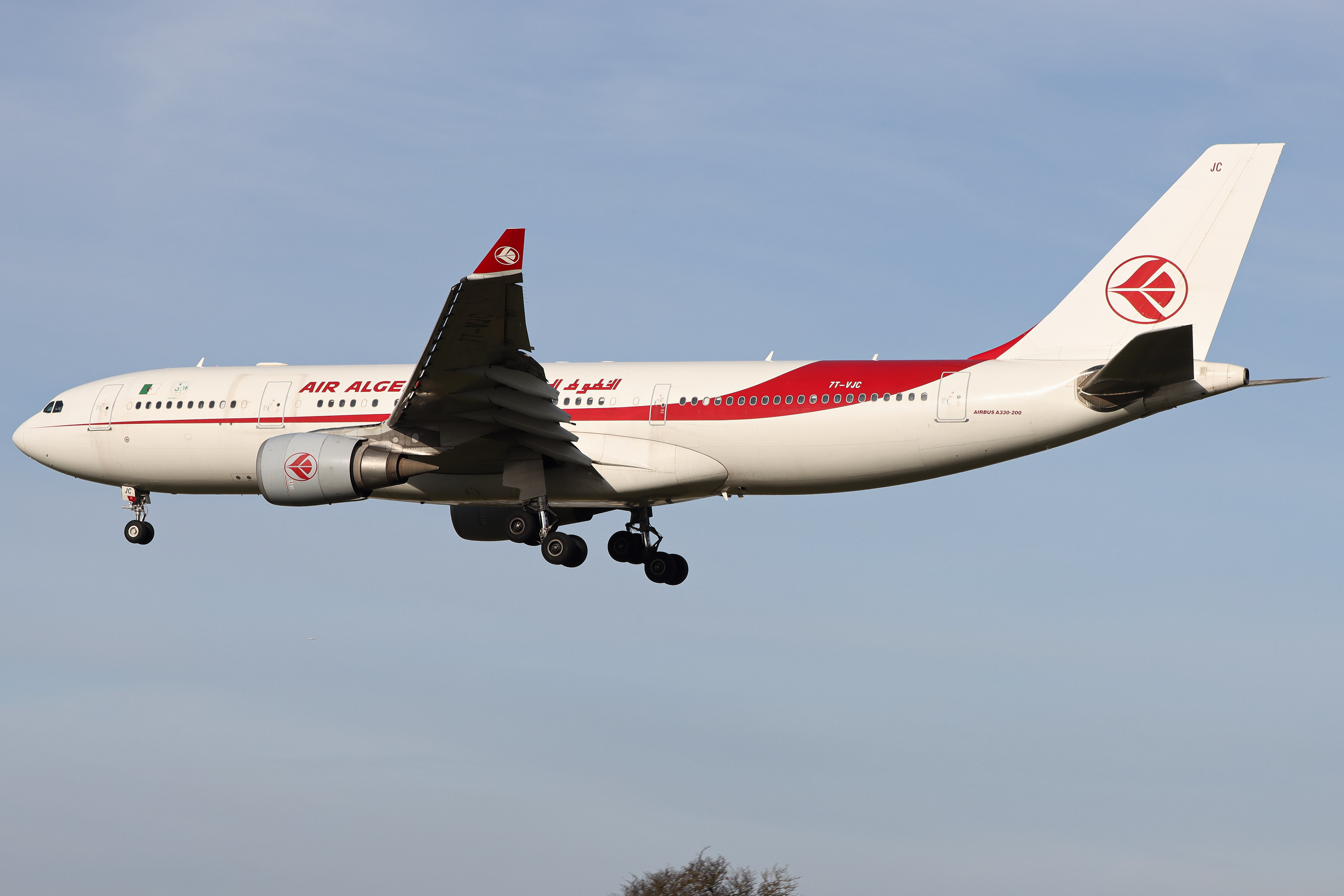 Full size: Air Algerie Airbus A330-200 7T-VJC at London Heathrow International Airport