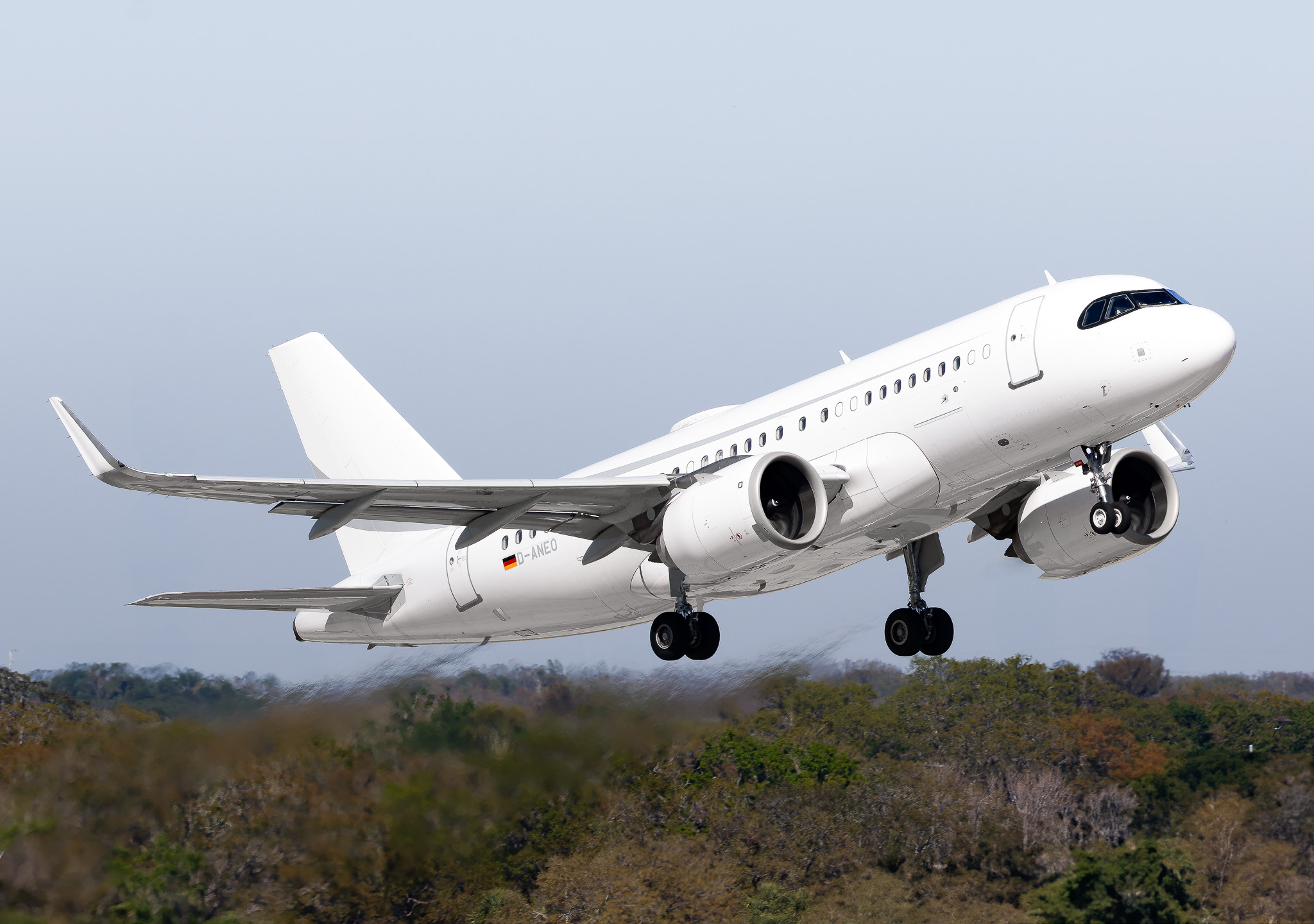 Full size: K5 Aviation Airbus A319NEO D-ANEO at Tampa International Airport