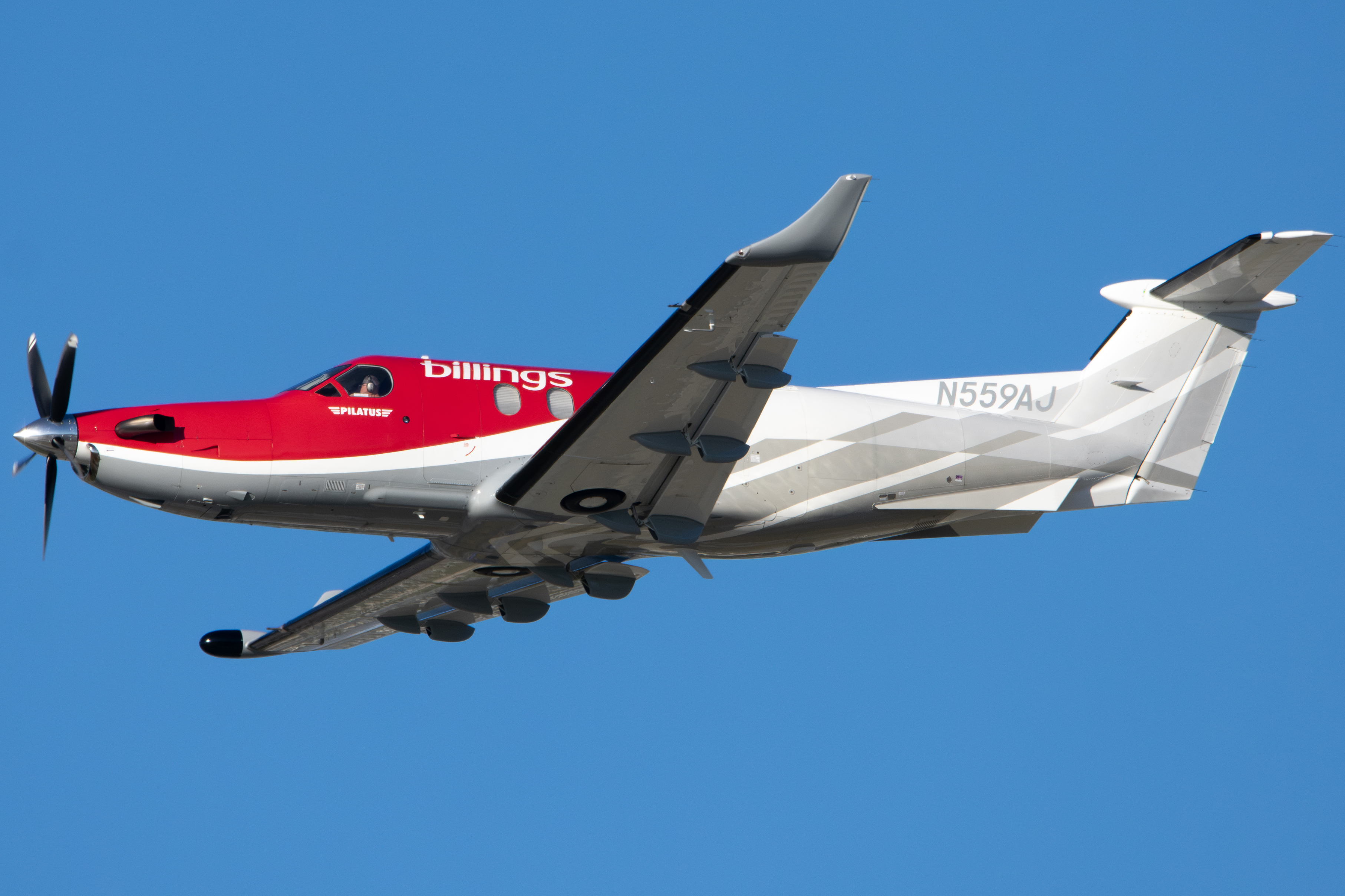 Full size: Billings Flying Service Pilatus PC-12 N559AJ at Norman Y Mineta San Jose International Airport