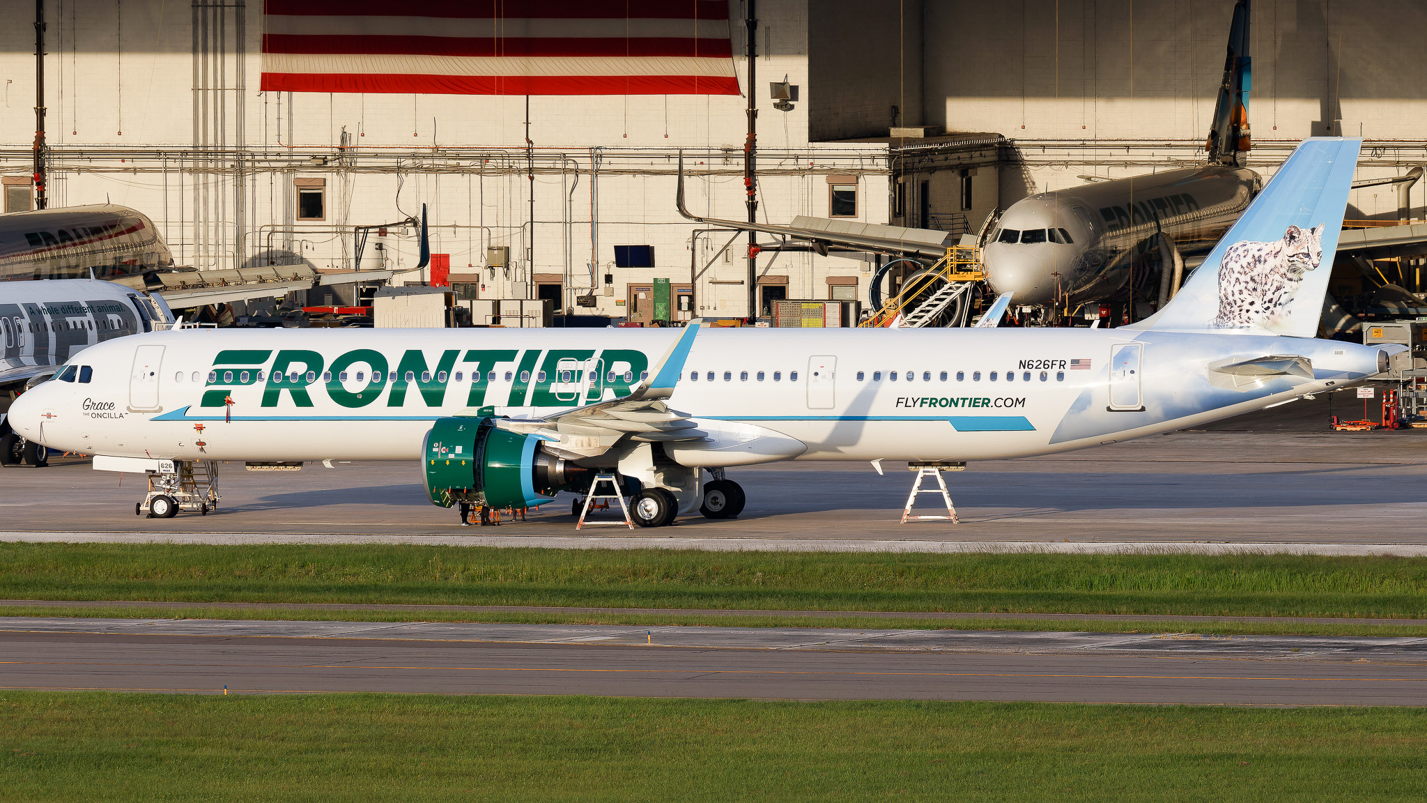 Full size: Frontier Airlines Airbus A321NEO N626FR at Tampa International Airport