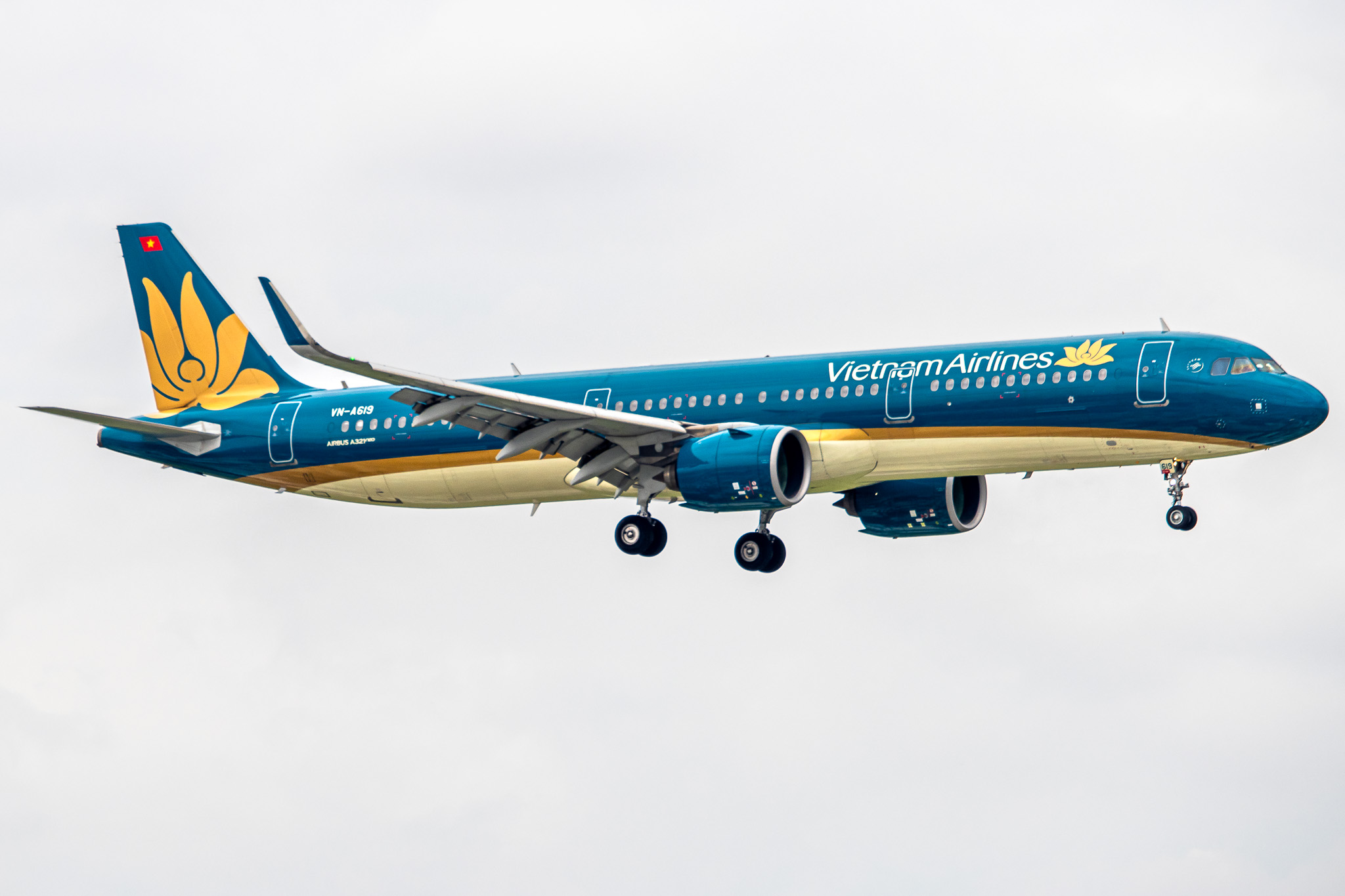 Full size: Vietnam Airlines Airbus A321NEO VN-A619 at Tan Son Nhat International Airport