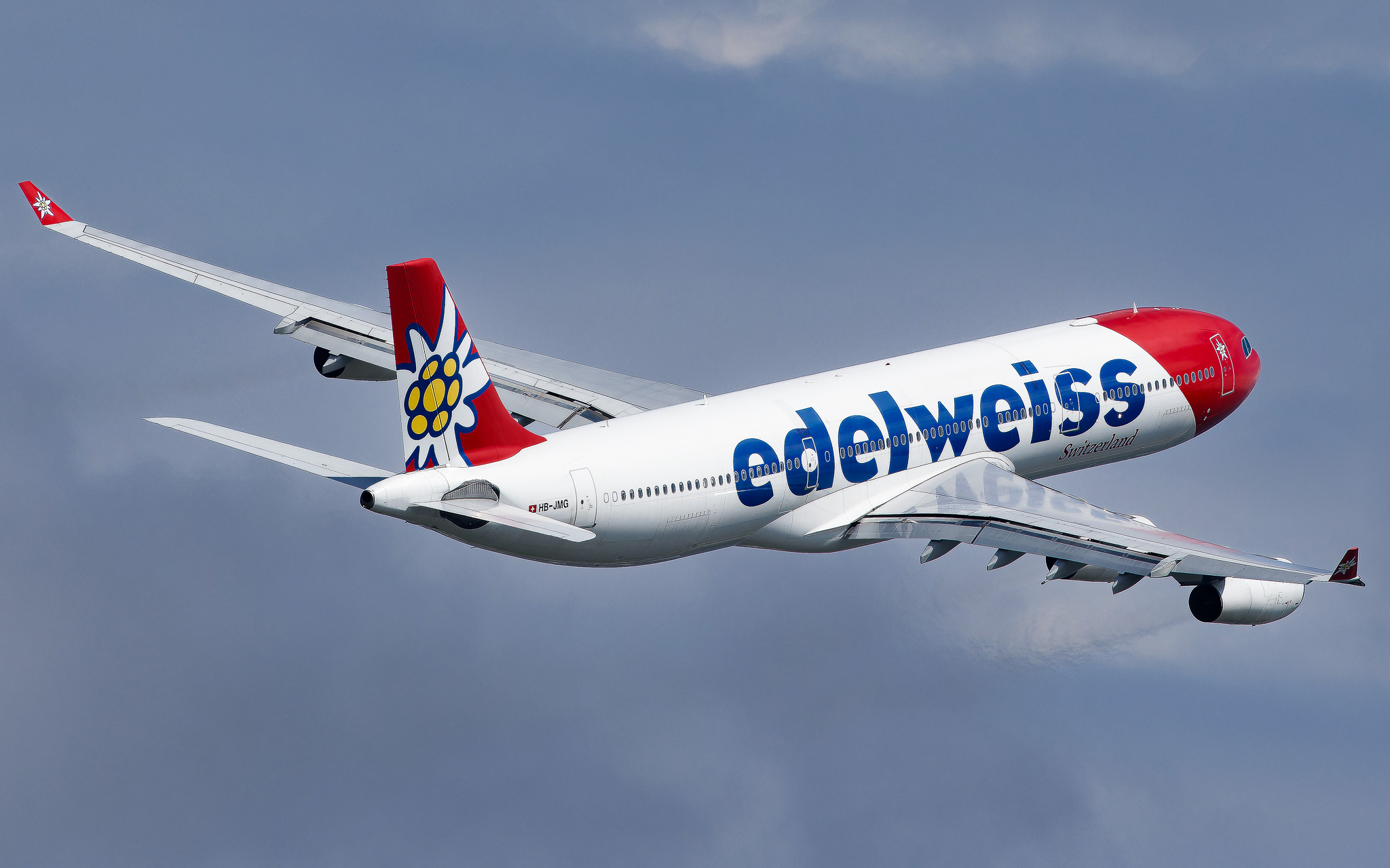 Full size: Edelweiss Air Airbus A340-300 HB-JMG at Tampa International Airport
