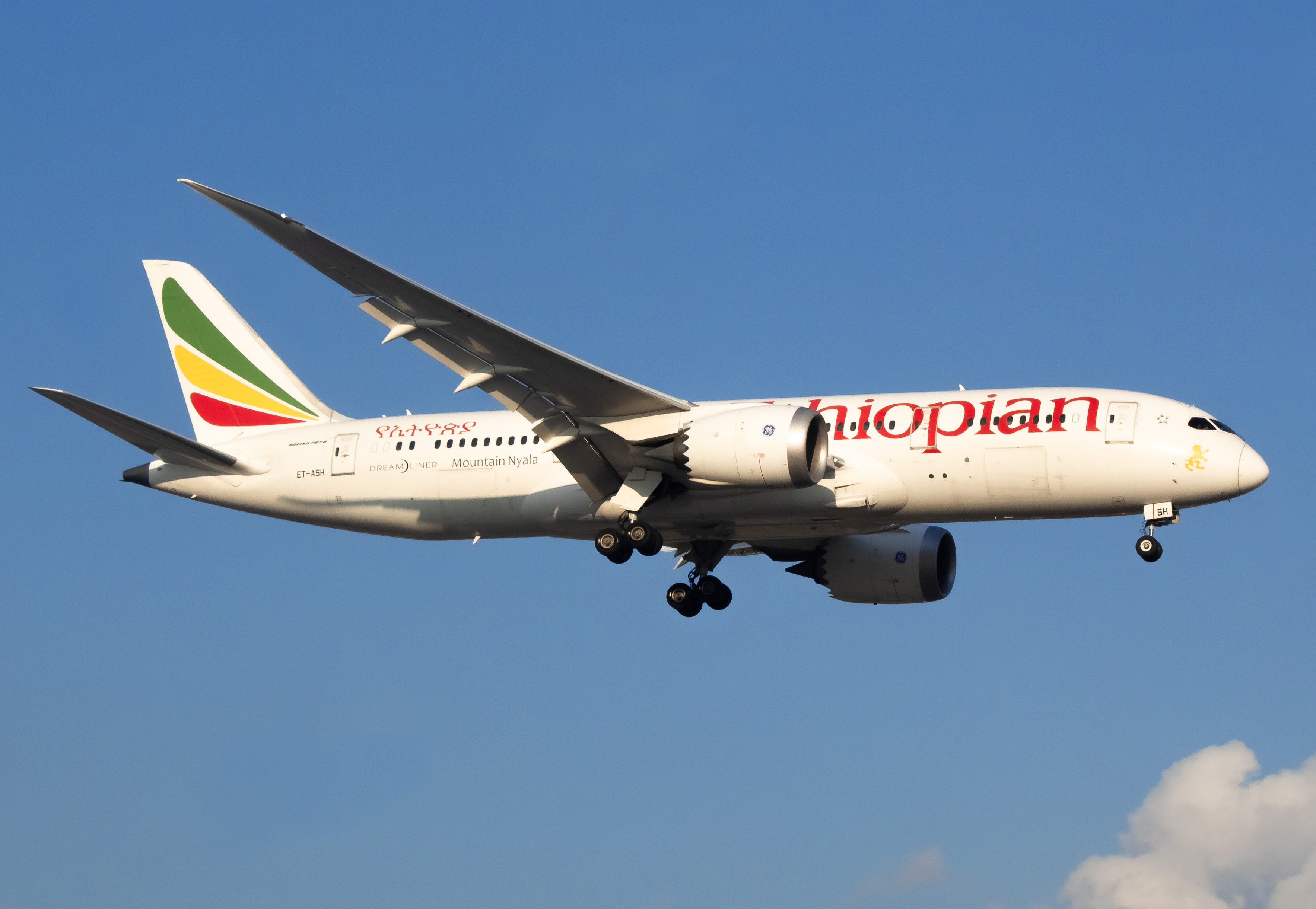 Full size: Ethiopian Airlines Boeing 787-8 ET-ASH at Newark Liberty International Airport