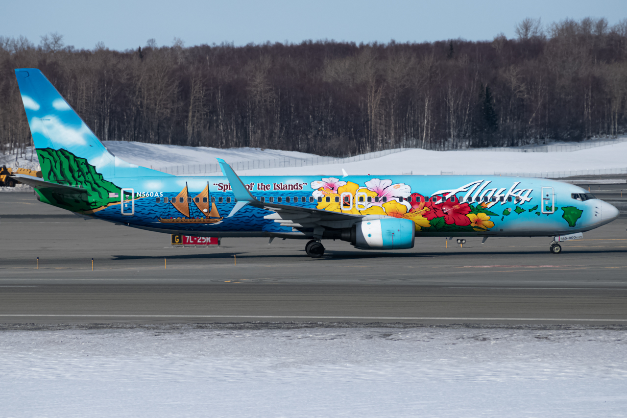 Full size: Alaska Airlines Boeing 737-800 N560AS at Anchorage Ted Stevens International Airport