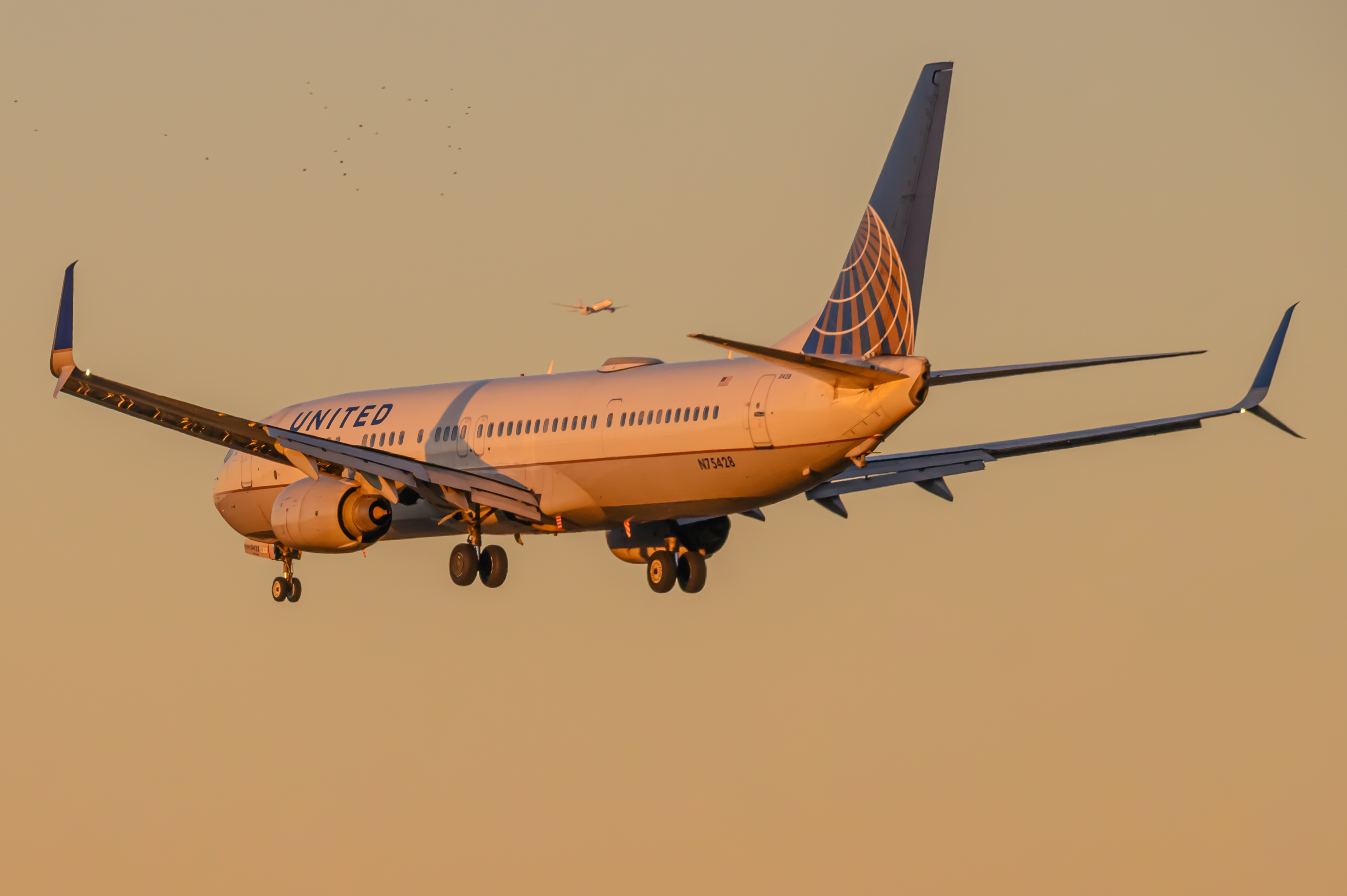 Full size: United Airlines Boeing 737-900 N75428 at Washington Dulles International Airport