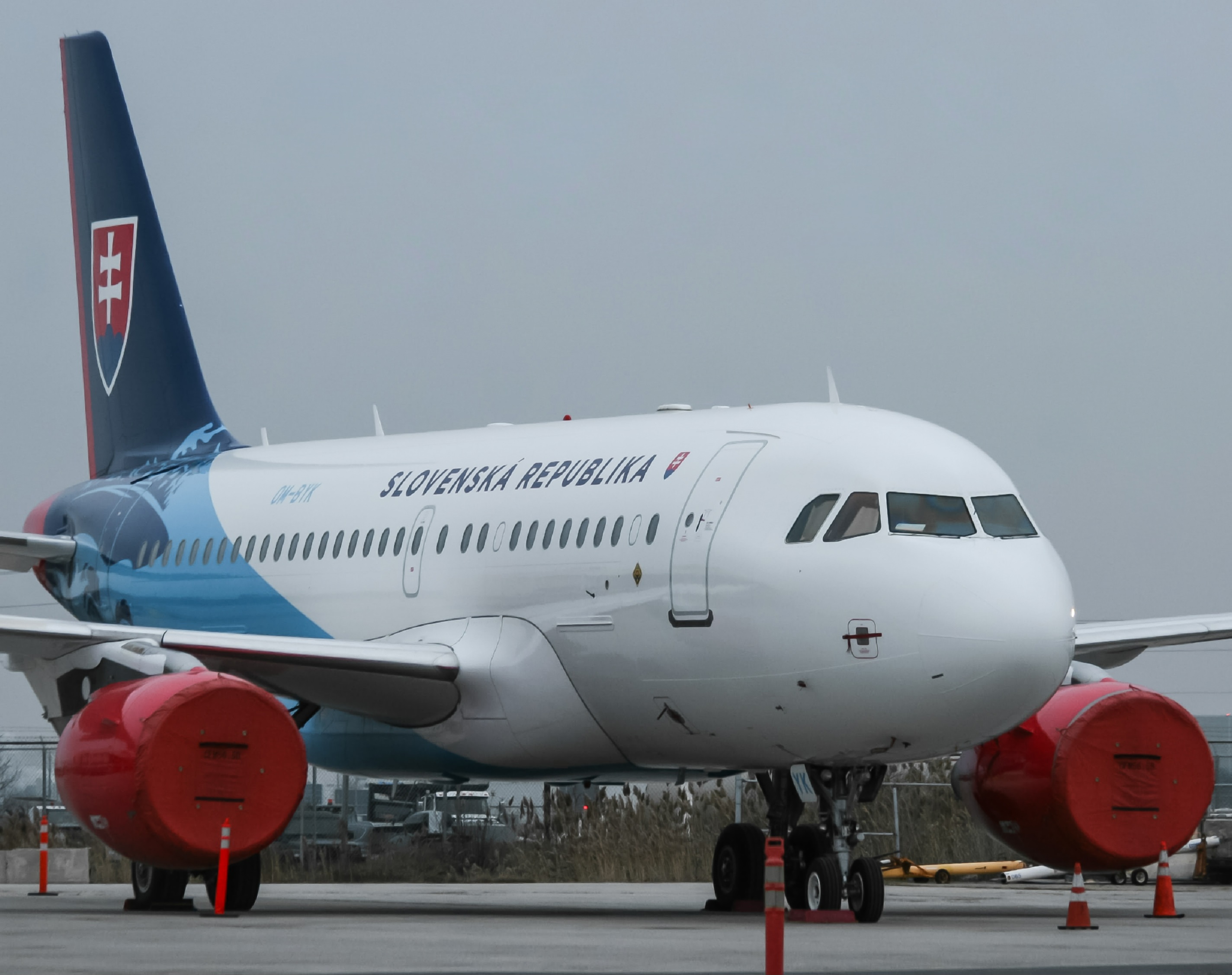 Full size: Slovak Republic Airbus A319-115X(ACJ) OM-BYK  at Lester B Pearson International Airport