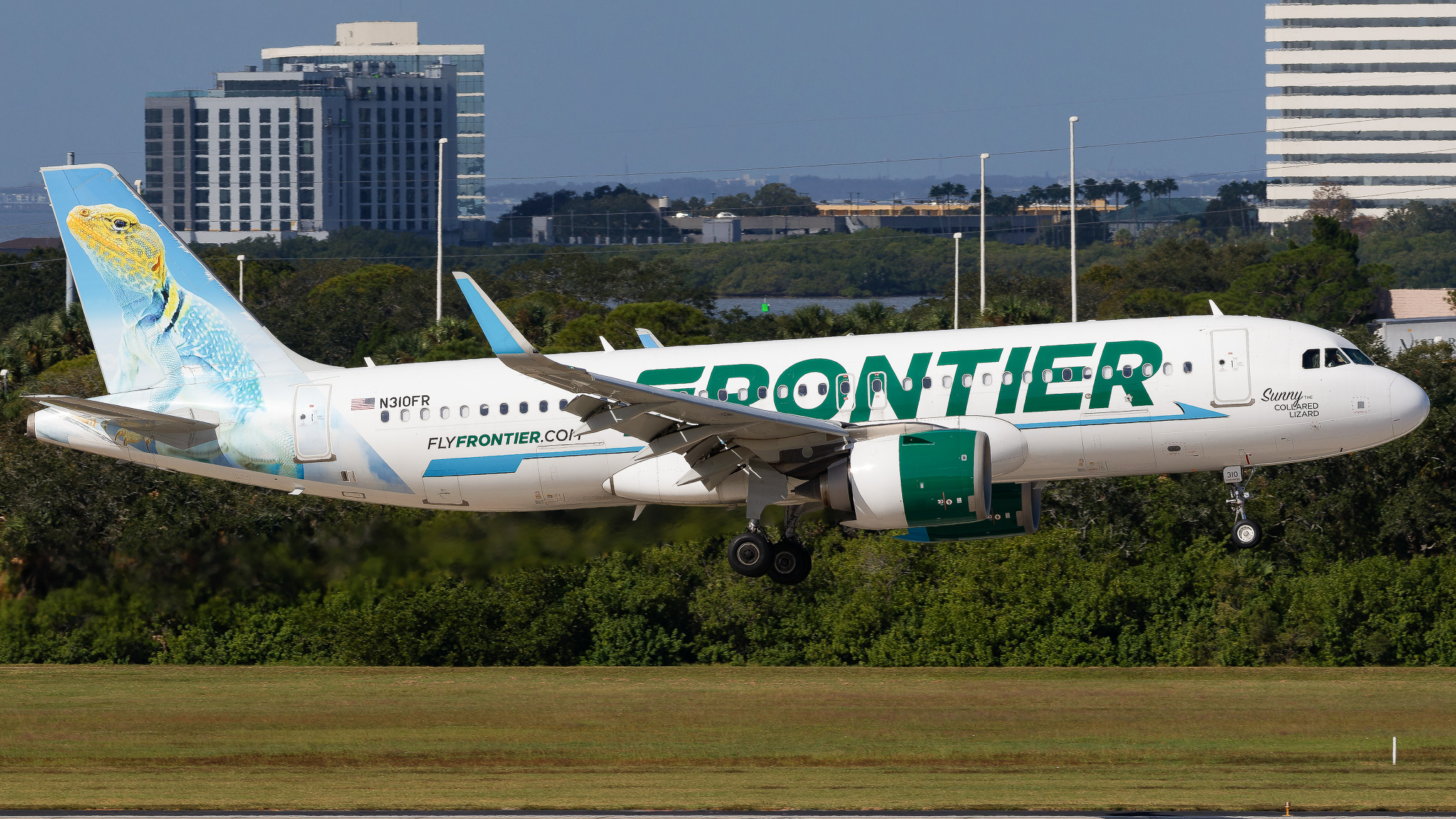 Full size: Frontier Airlines Airbus A320-200N N310FR at Tampa International Airport