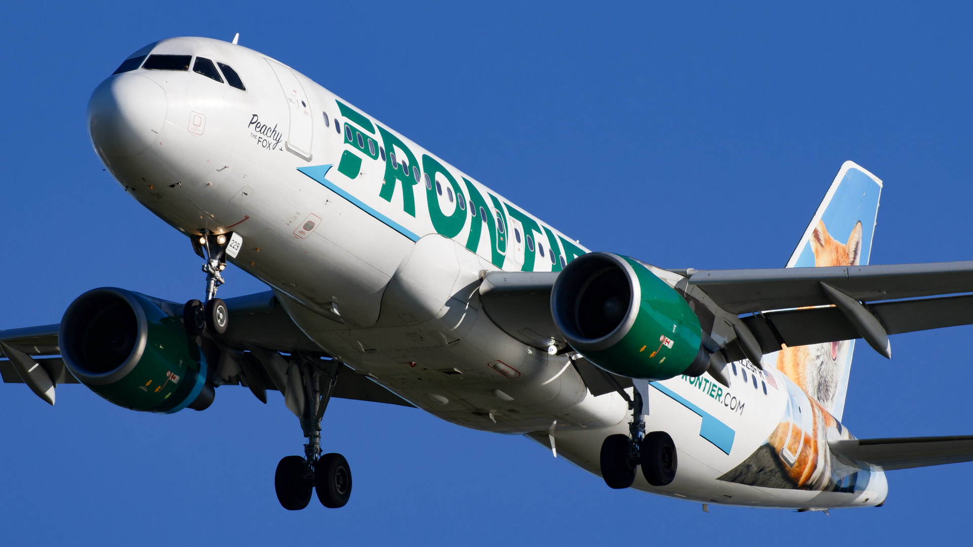 Full size: Frontier Airlines Airbus A320 N229FR at Tampa International Airport