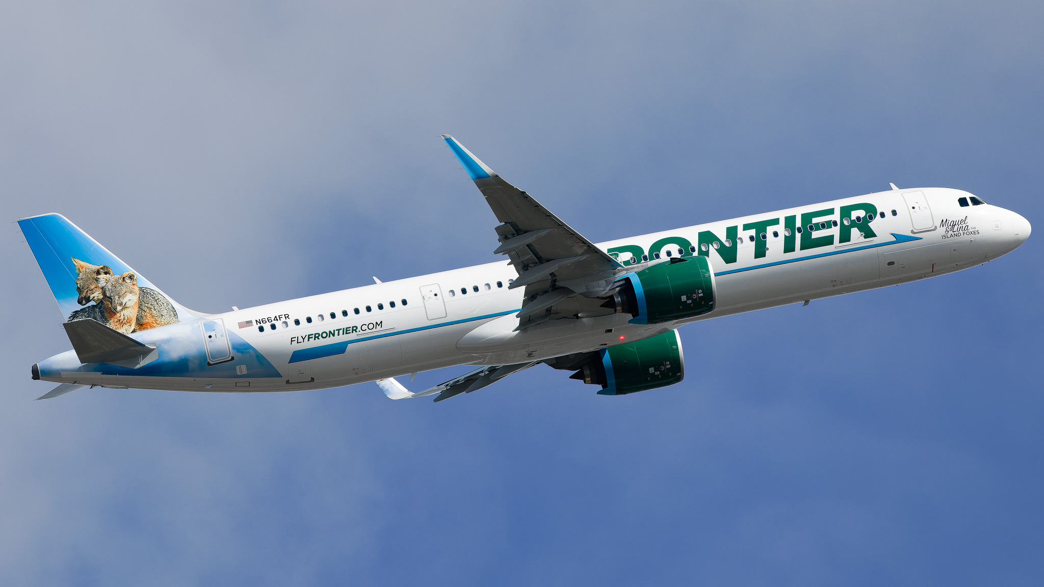 Full size: Frontier Airlines Airbus A321NEO N664FR at Tampa International Airport