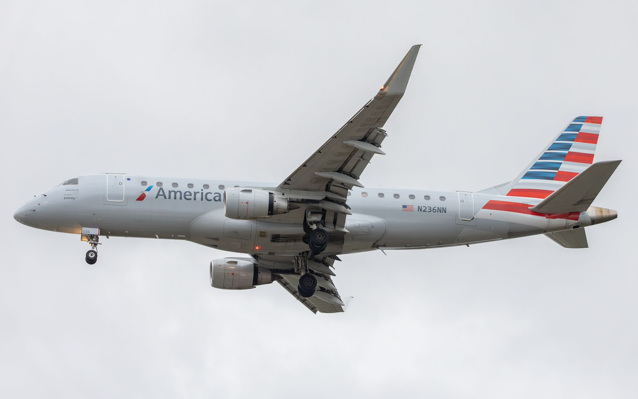 Full size: American Eagle Embraer E175 N236NN at Tampa International Airport
