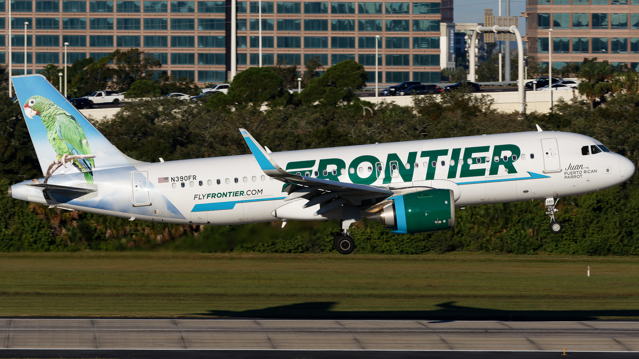 Full size: Frontier Airlines Airbus A320NEO N390FR at Tampa International Airport
