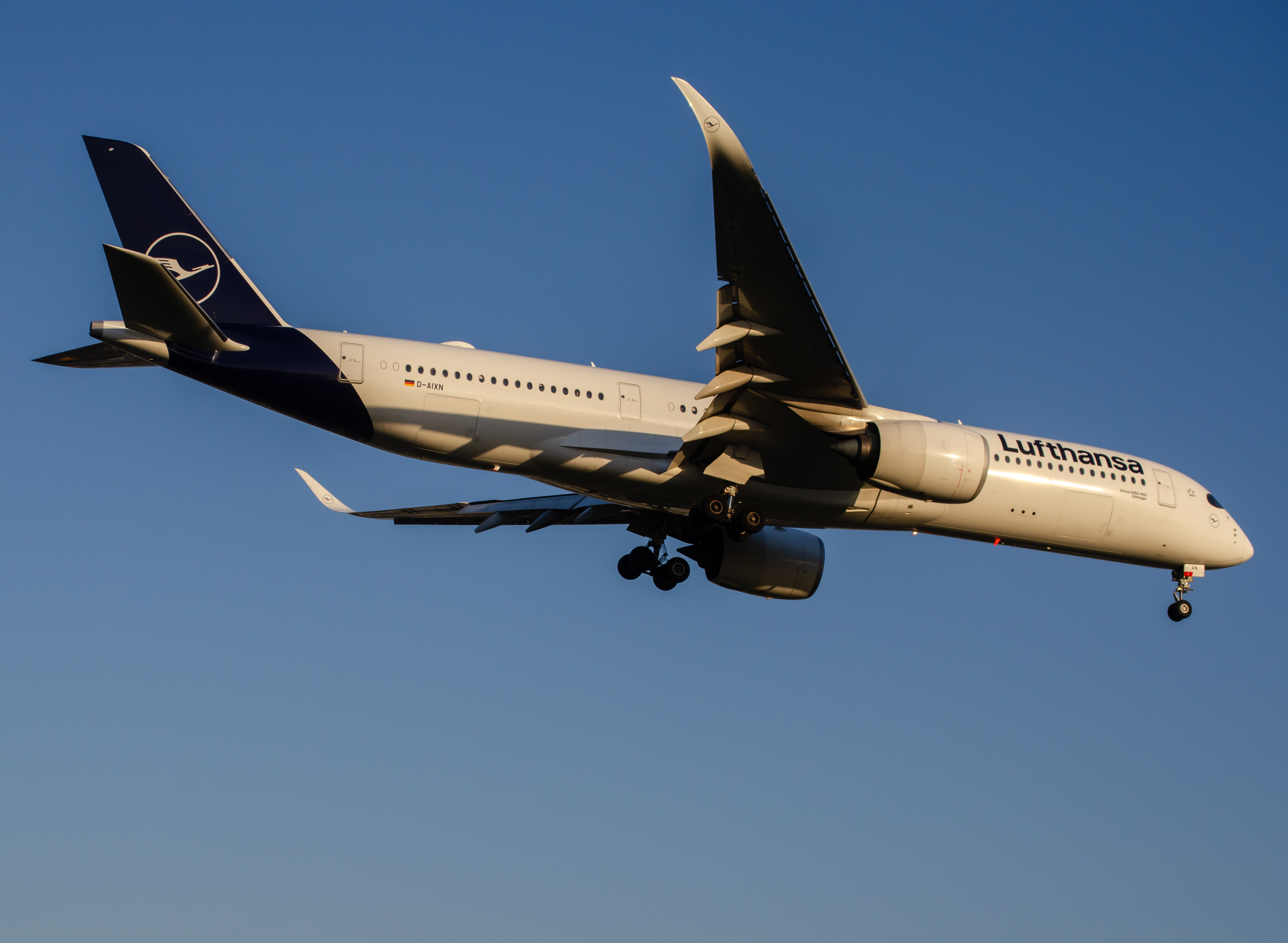 Full size: Lufthansa Airbus A350-900 D-AIXN  at Newark Liberty International Airport