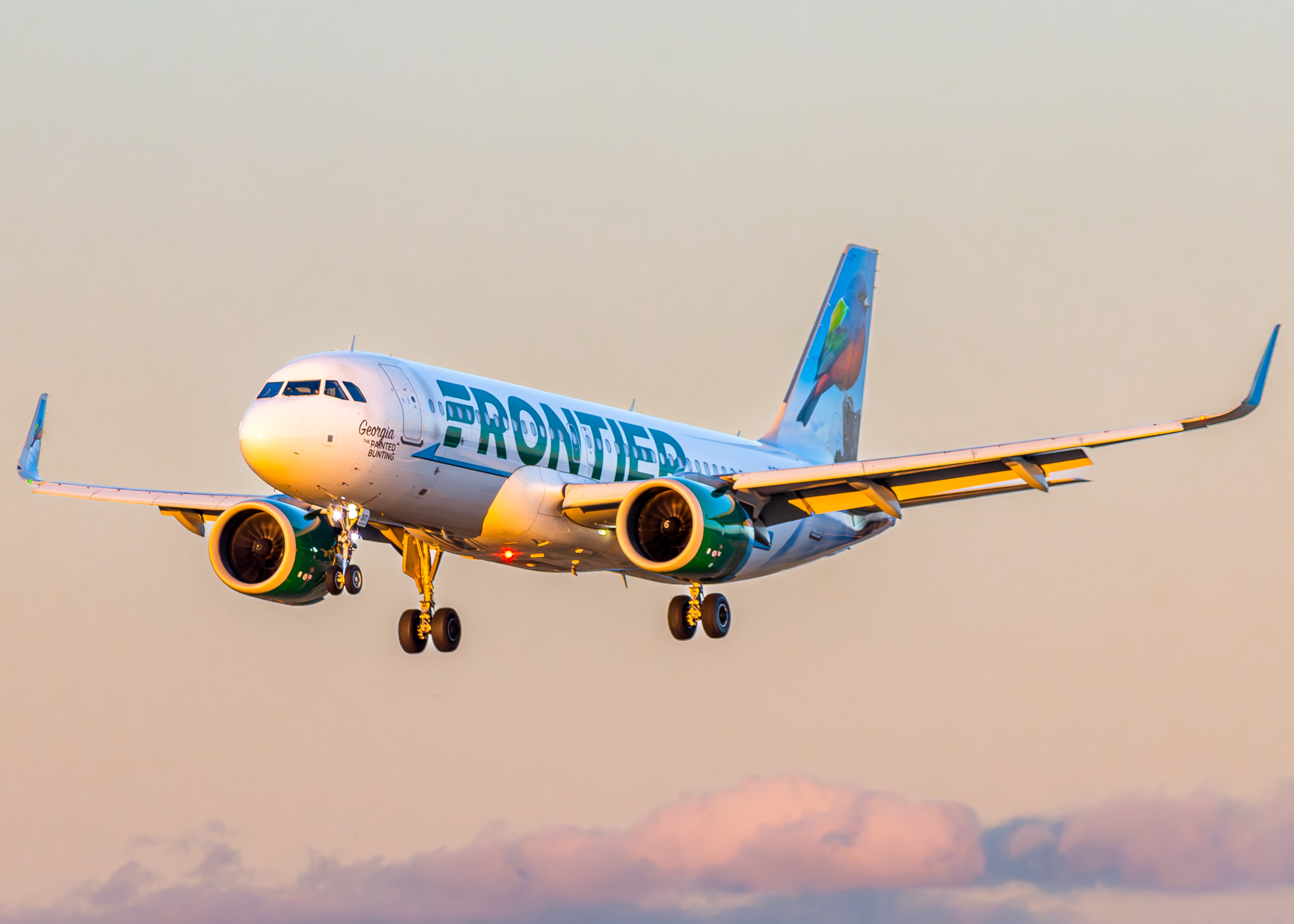 Full size: Frontier Airlines Airbus A320NEO N317FR at Portland International Airport