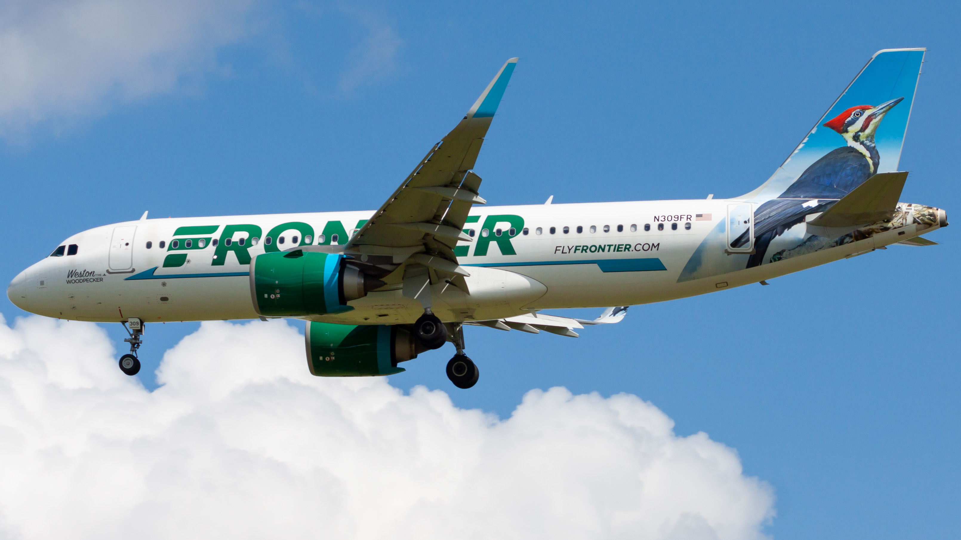 Full size: Frontier Airlines Airbus A320NEO N309FR at Orlando International Airport