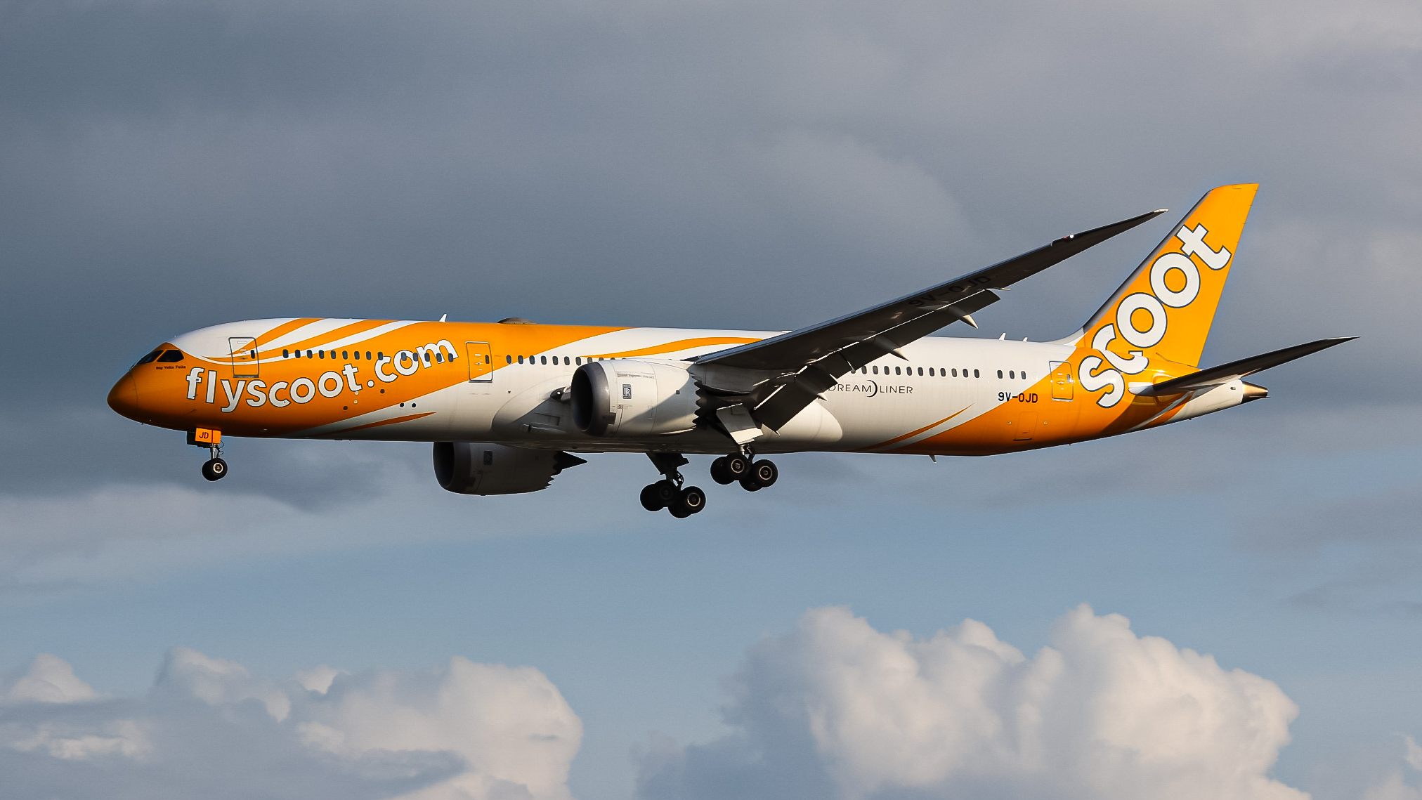 Full size: Scoot Boeing 787-9 9V-OJD at Singapore-Changi Airport
