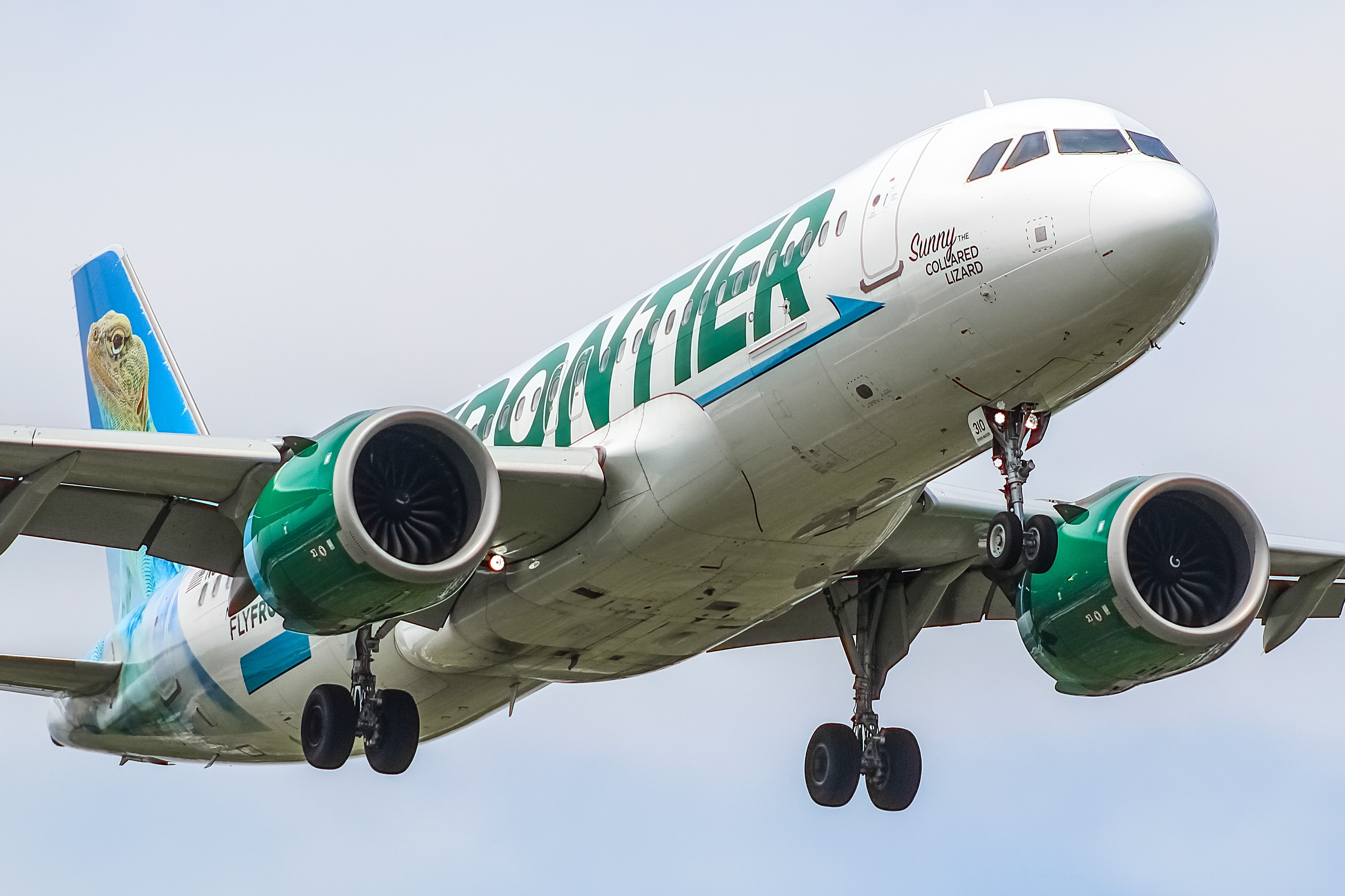 Full size: Frontier Airlines Airbus A320NEO N310FR at General Mitchell International Airport
