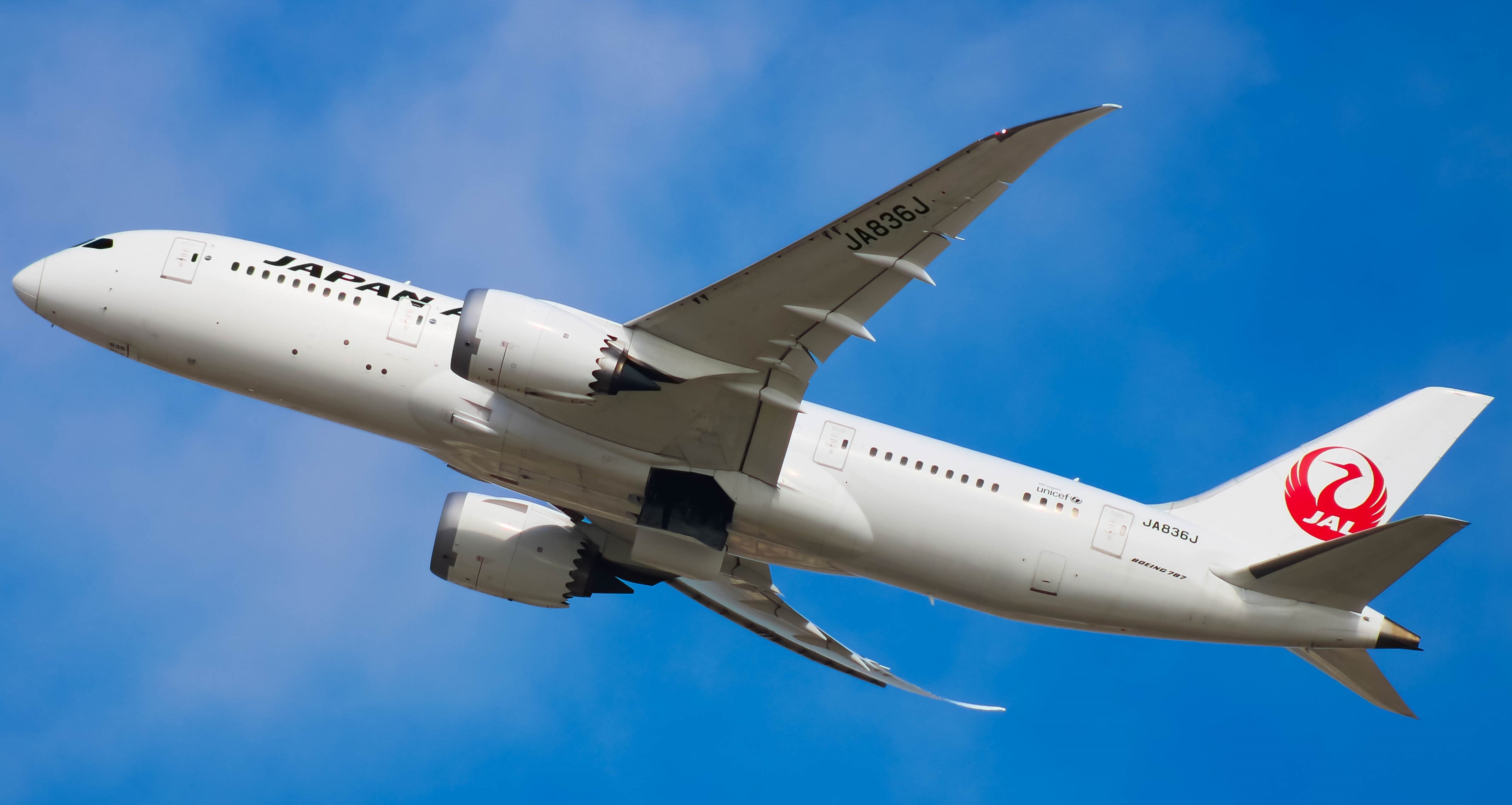 Full size: Japan Airlines Boeing 787-8 JA836J at San Diego International Airport