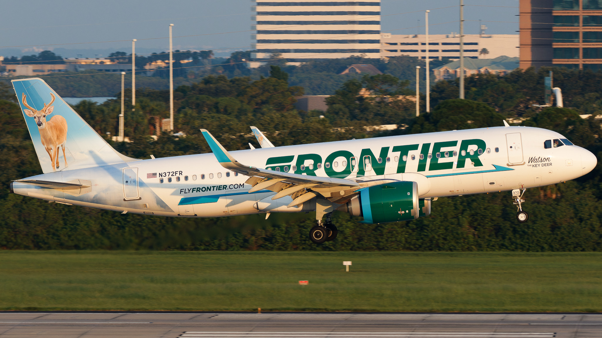 Full size: Frontier Airlines Airbus A320NEO N372FR at Tampa International Airport