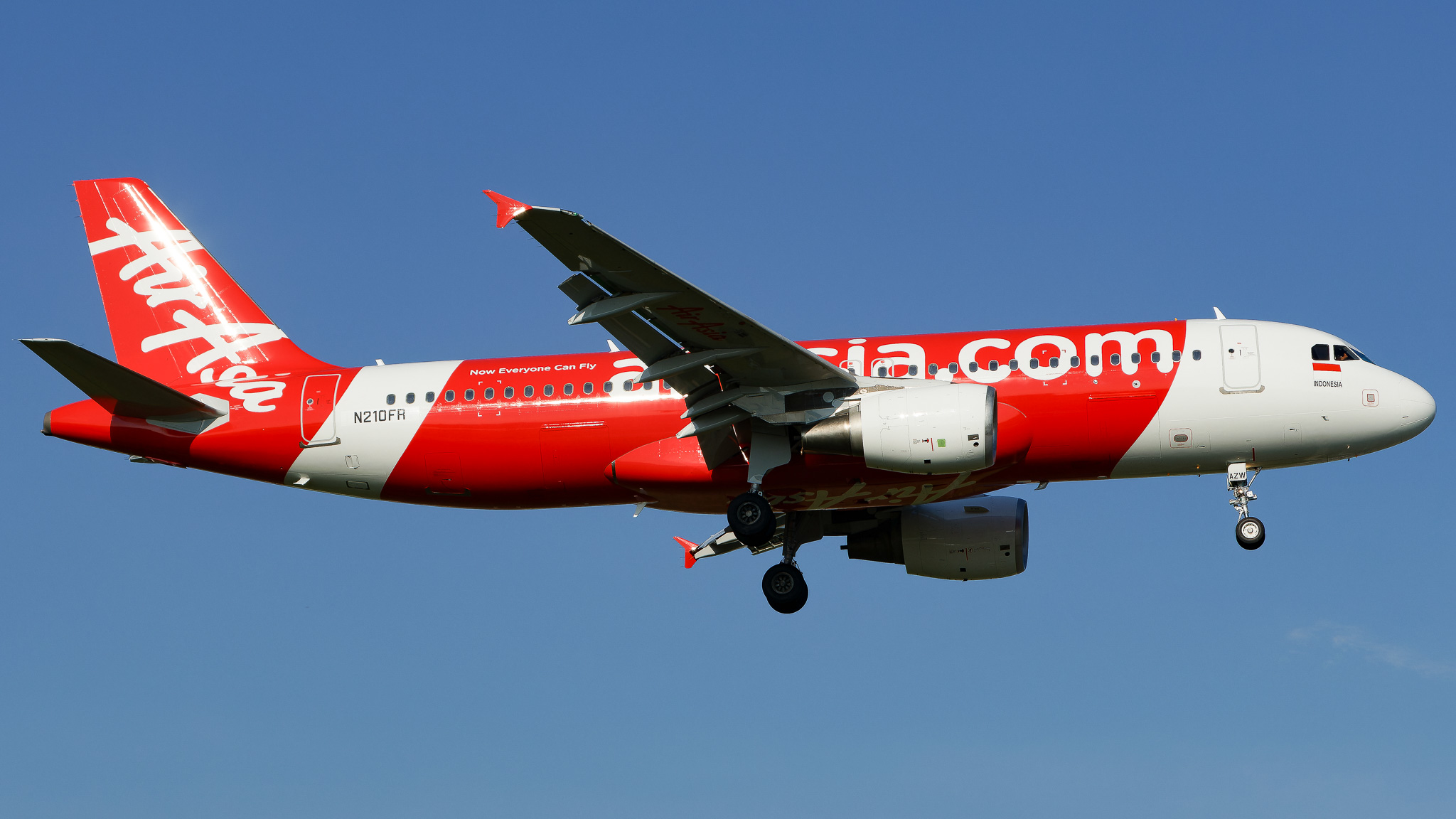 Full size: AirAsia Airbus A320 N210FR at Tampa International Airport