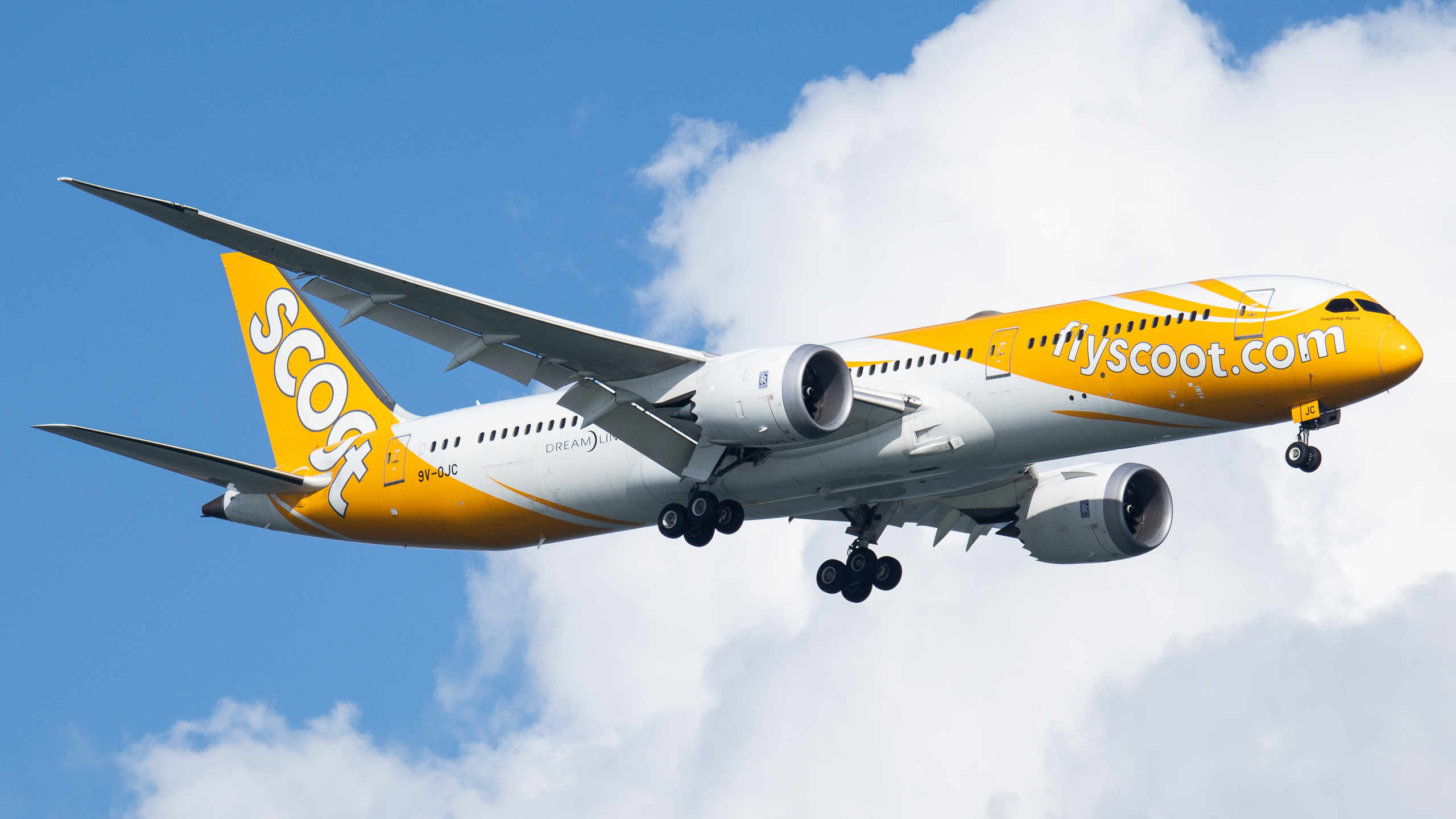 Full size: Scoot Boeing 787-9 9V-OJC at Singapore-Changi Airport