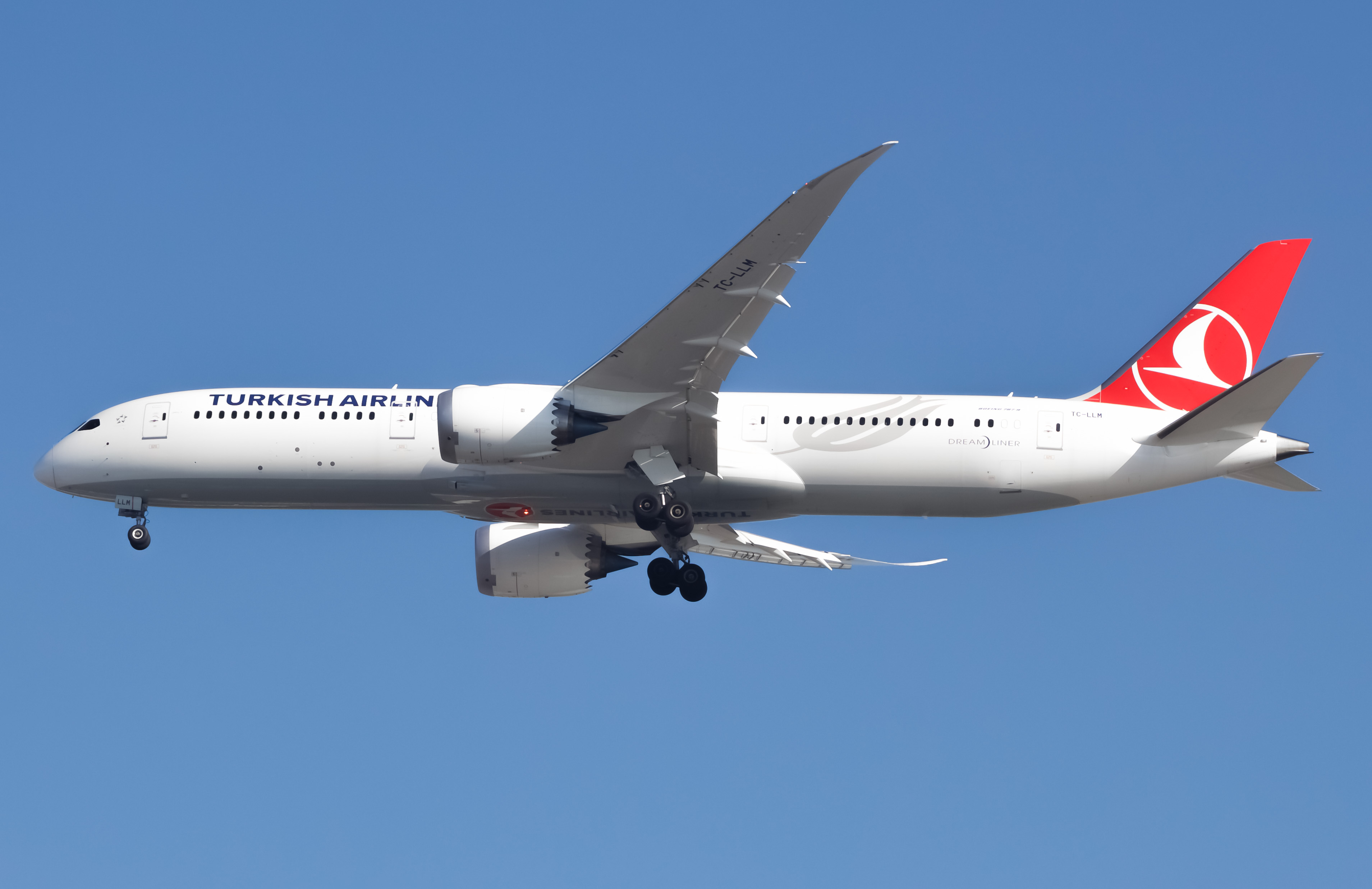 Full size: Turkish Airlines Boeing 787-9 TC-LLM at John F. Kennedy International Airport