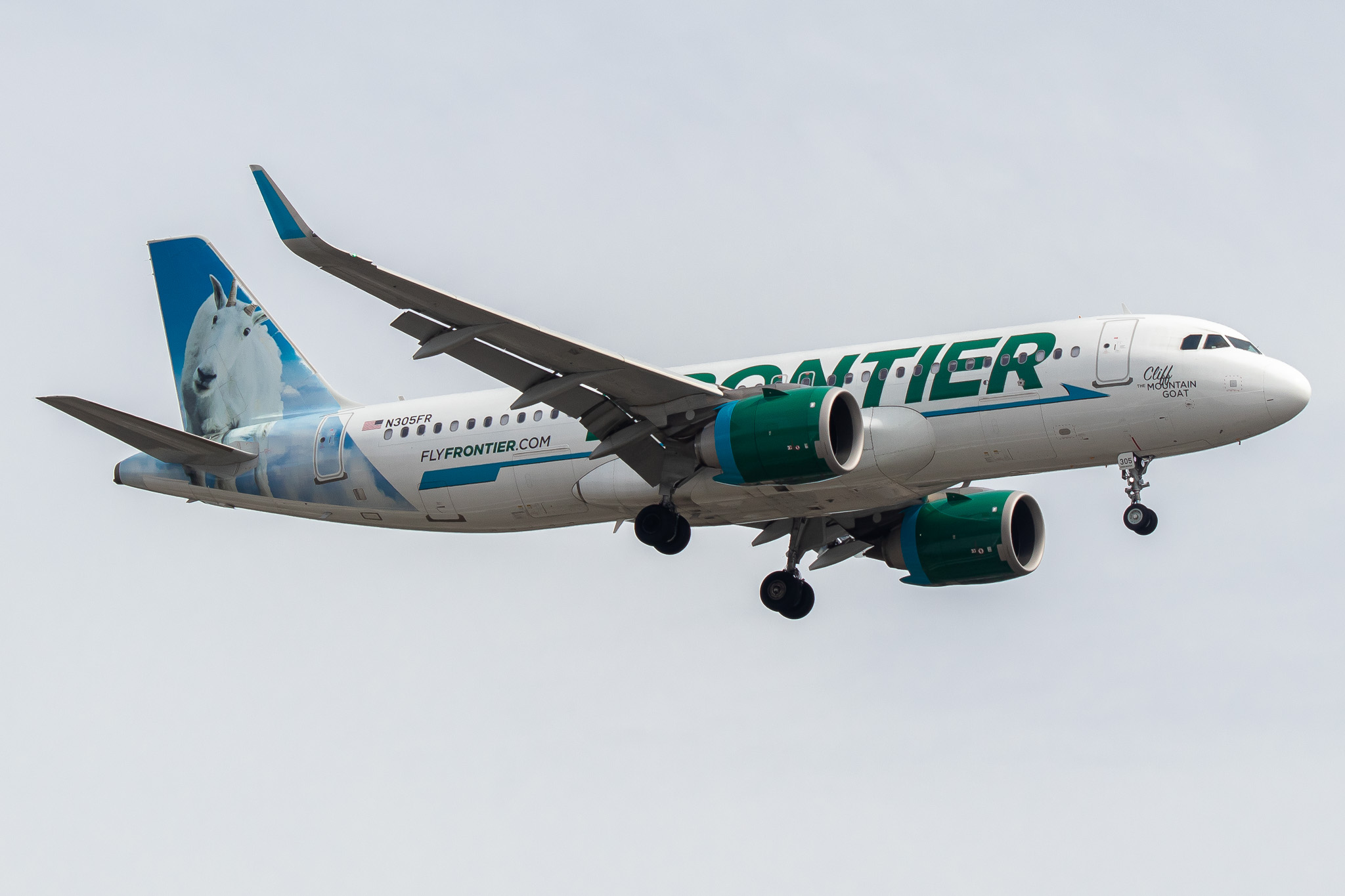 Full size: Frontier Airlines Airbus A320NEO N305FR at Seattle-Tacoma International Airport