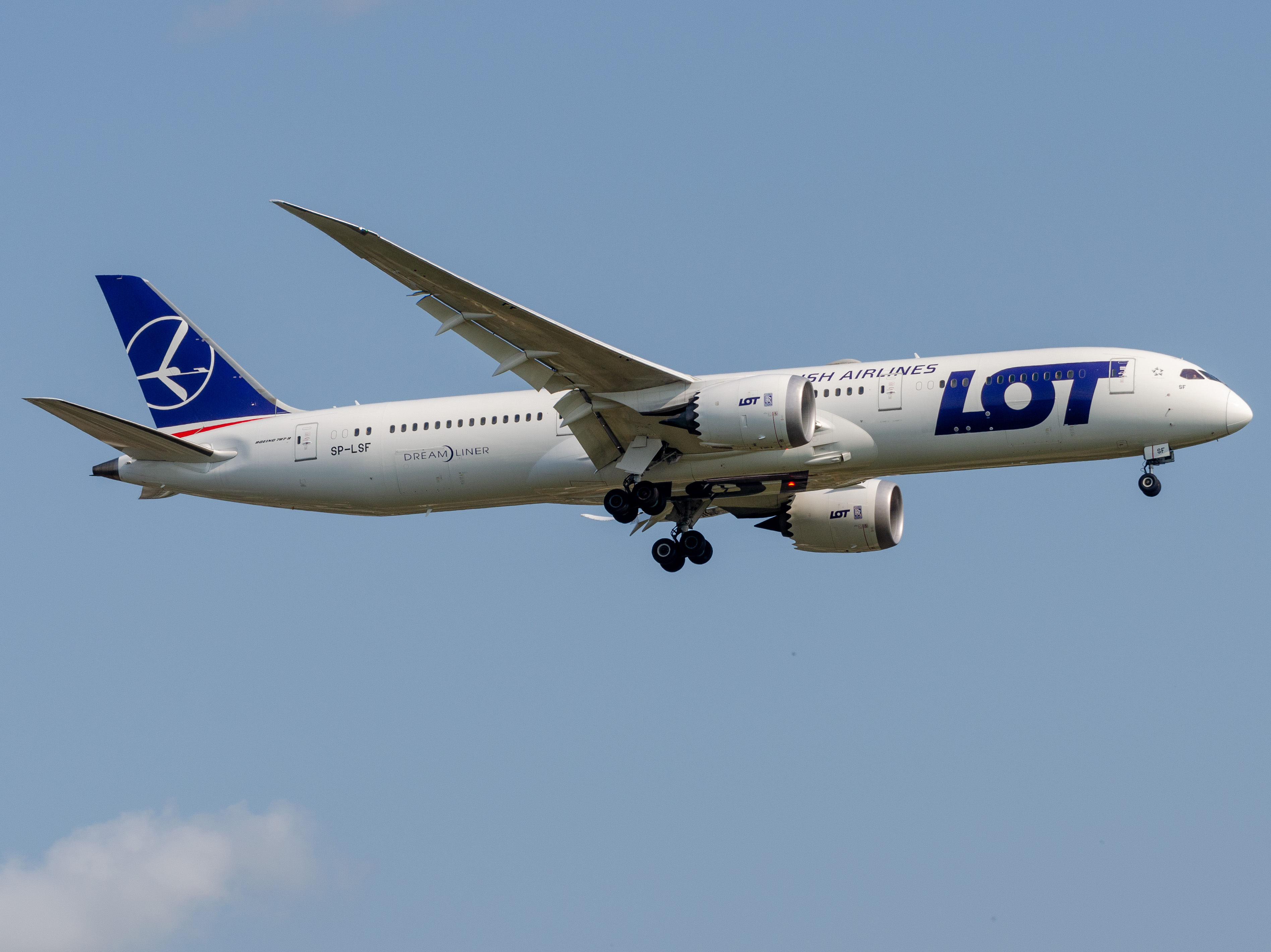 Full size: LOT Polish Airlines Boeing 787-9 SP-LSF at John F. Kennedy International Airport