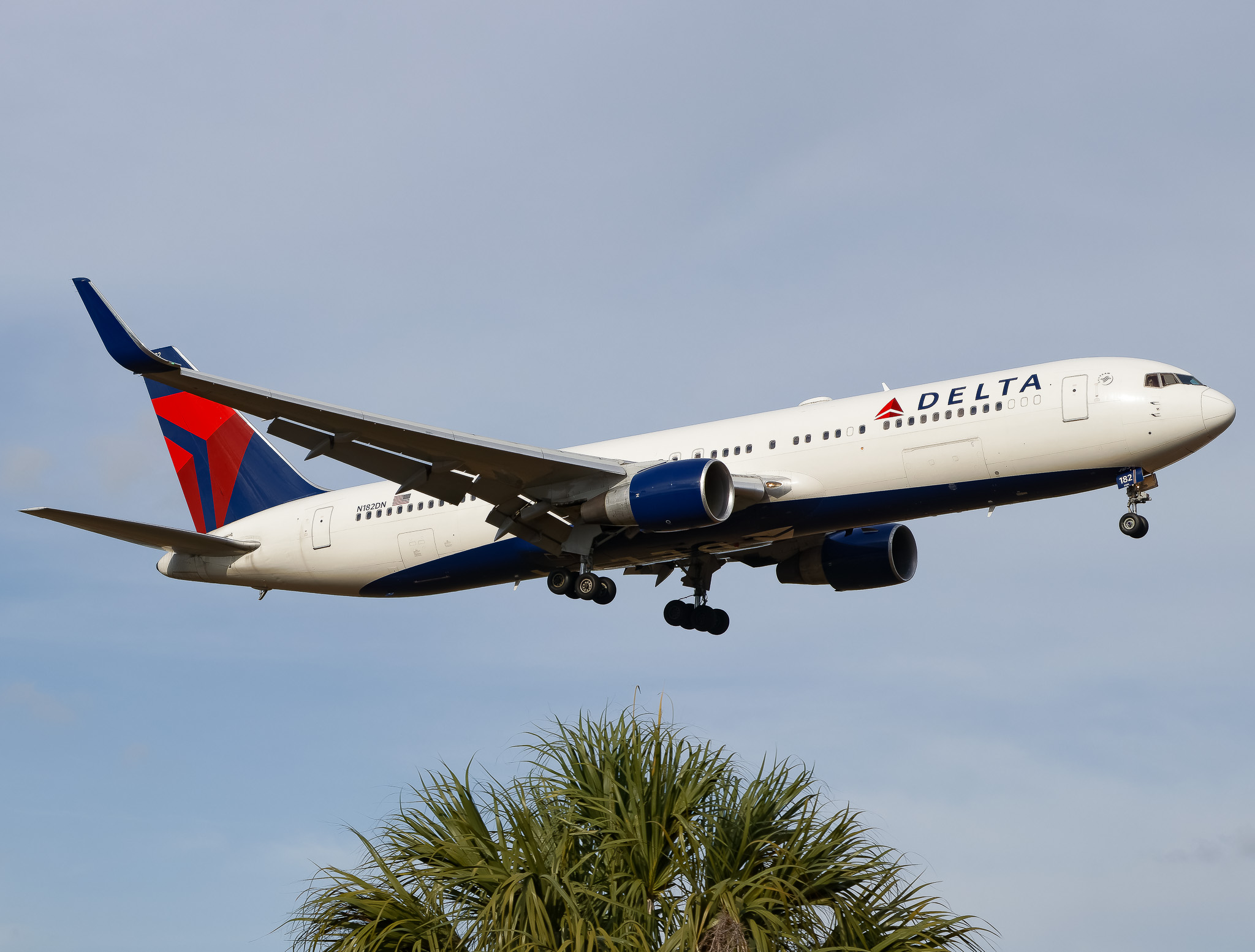 Full size: Delta Airlines Boeing 767-300ER N182DN at Tampa International Airport