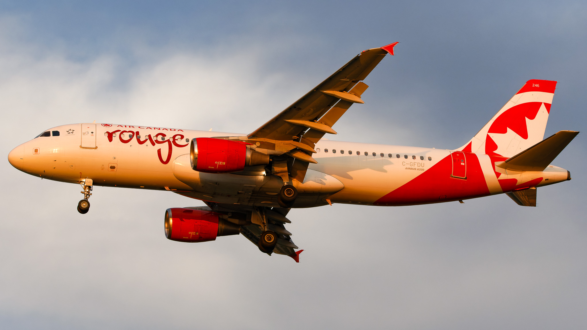 Full size: Air Canada Rouge Airbus A320 C-GFDU at Tampa International Airport