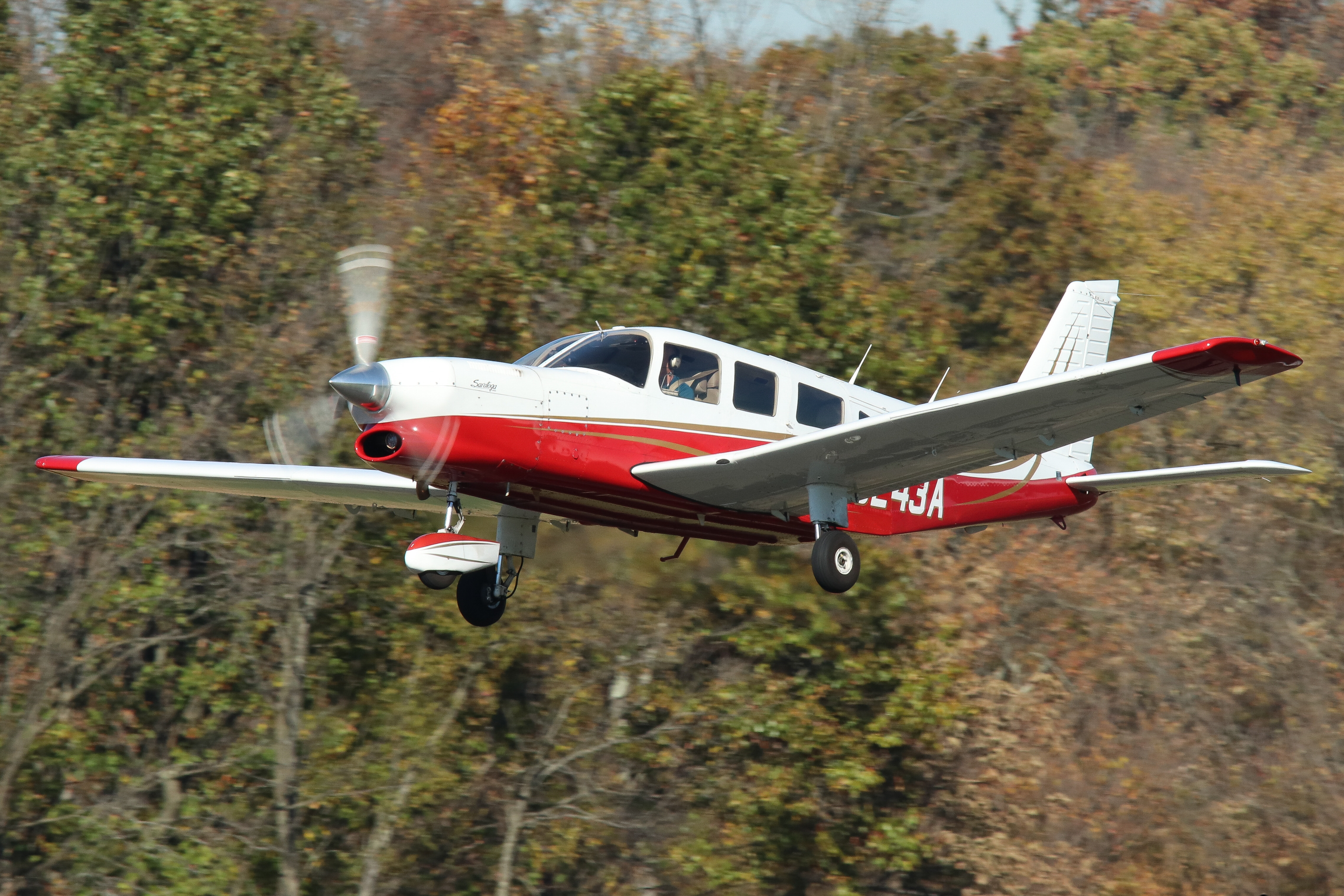 Full size: PRIVATE Piper 32-300T Saratoga  N8243A at Wings Field Airport
