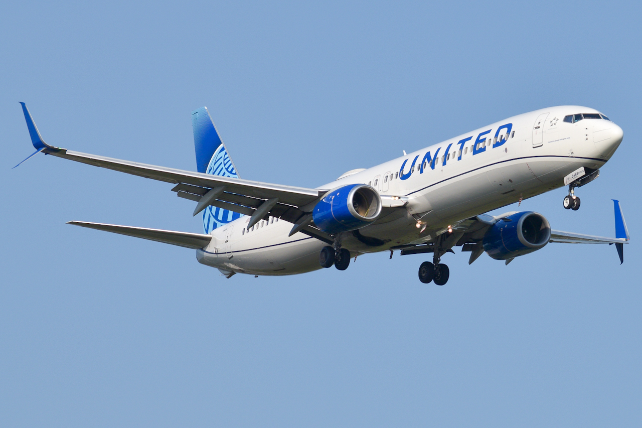 Full size: United Airlines Boeing 737-800 N38446 at Raleigh-Durham International Airport