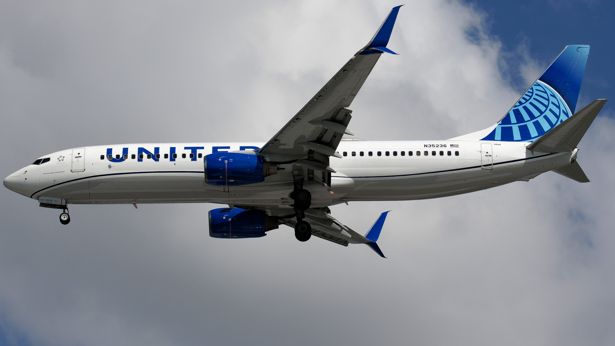Full size: United Airlines Boeing 737-800 N35236 at Tampa International Airport