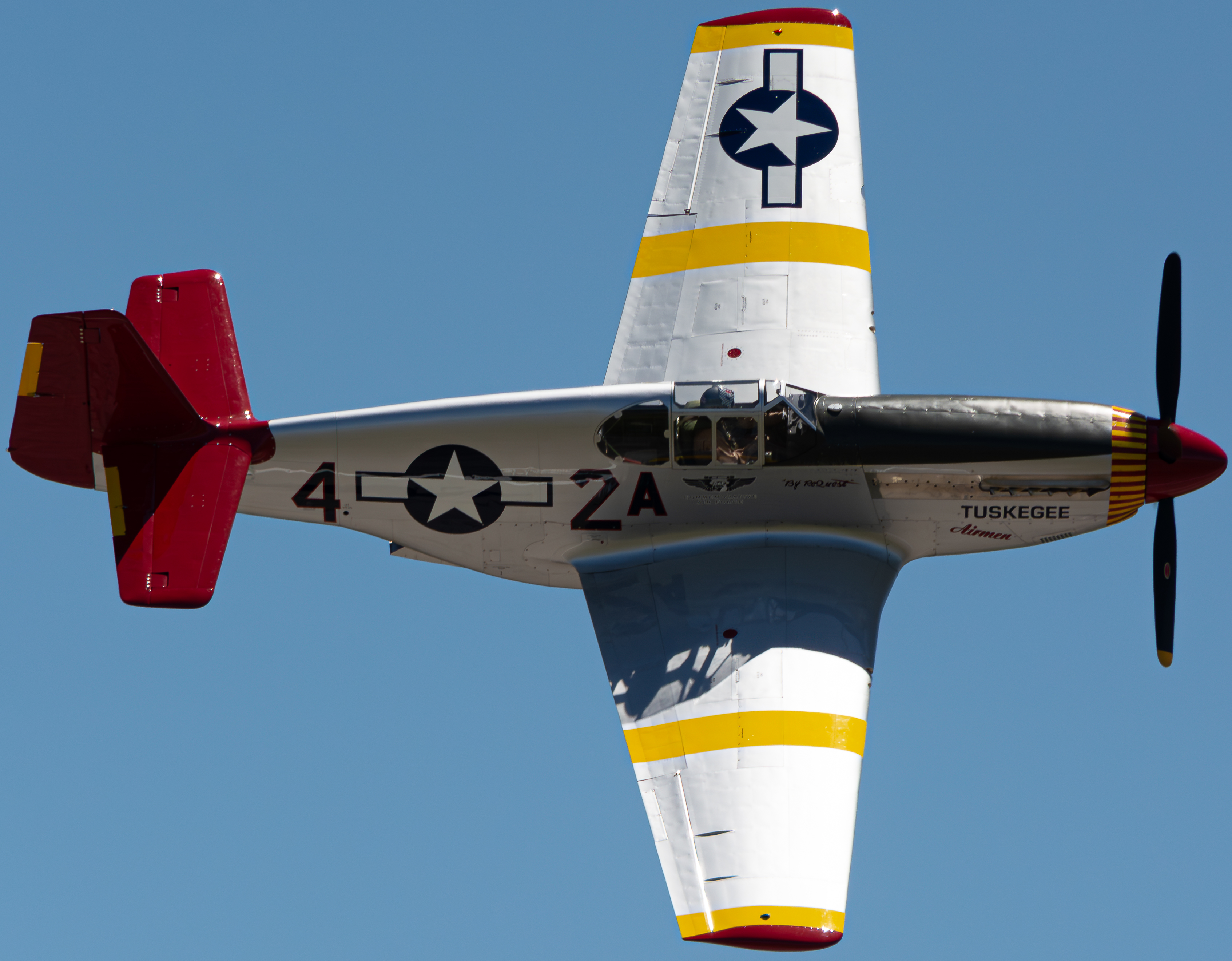 Full size: PRIVATE North American P-51 Mustang NL61429 at Rickenbacker International Airport