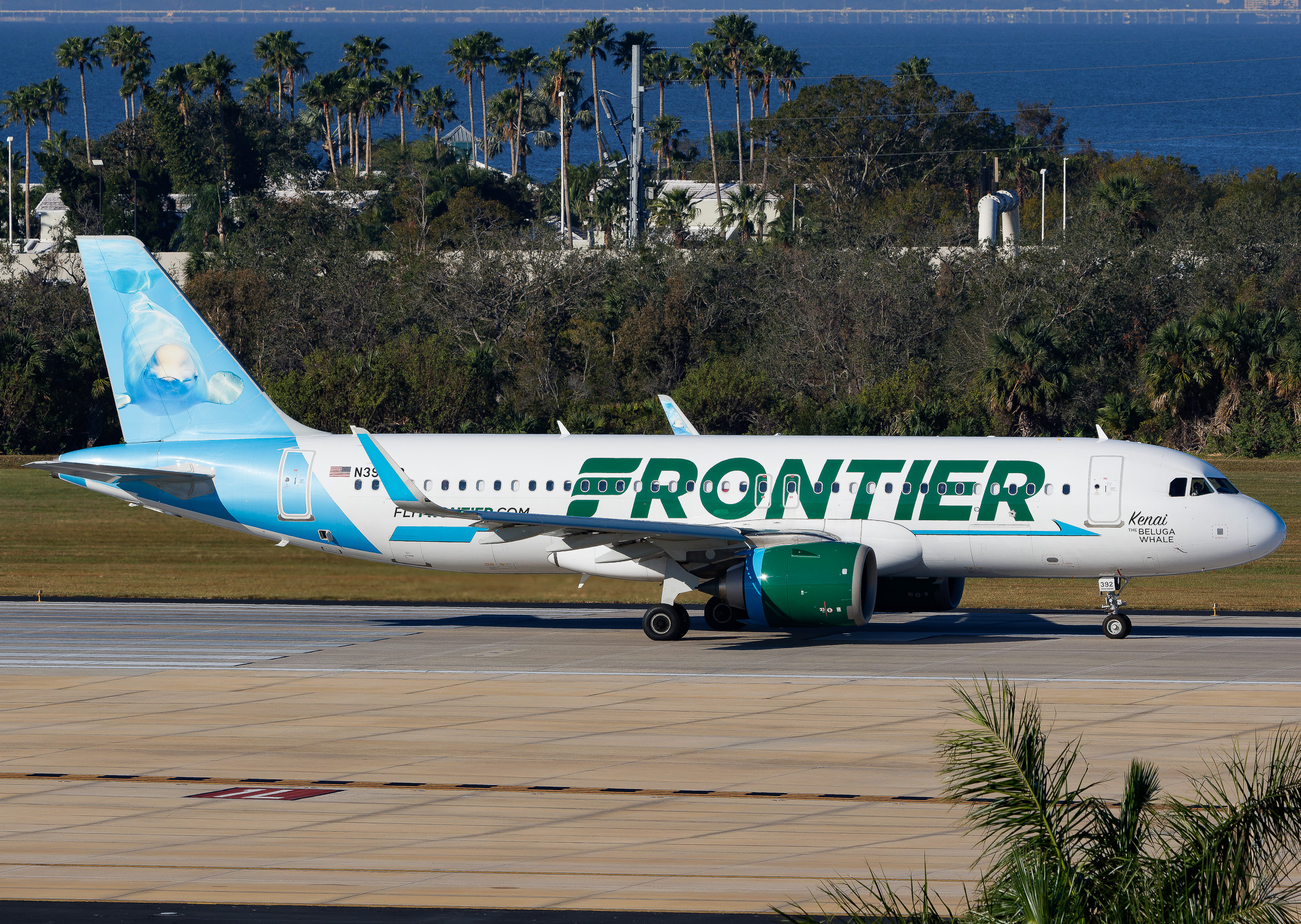 Full size: Frontier Airlines Airbus A320NEO N392FR at Tampa International Airport