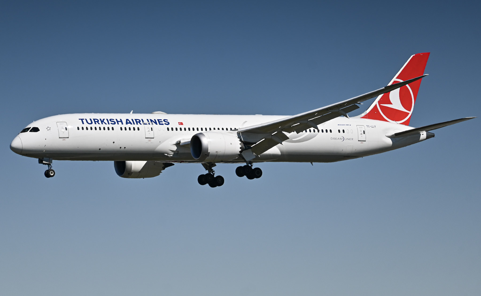 Full size: Turkish Airlines Boeing 787-9 TC-LLY at Hartsfield-Jackson Atlanta International Airport