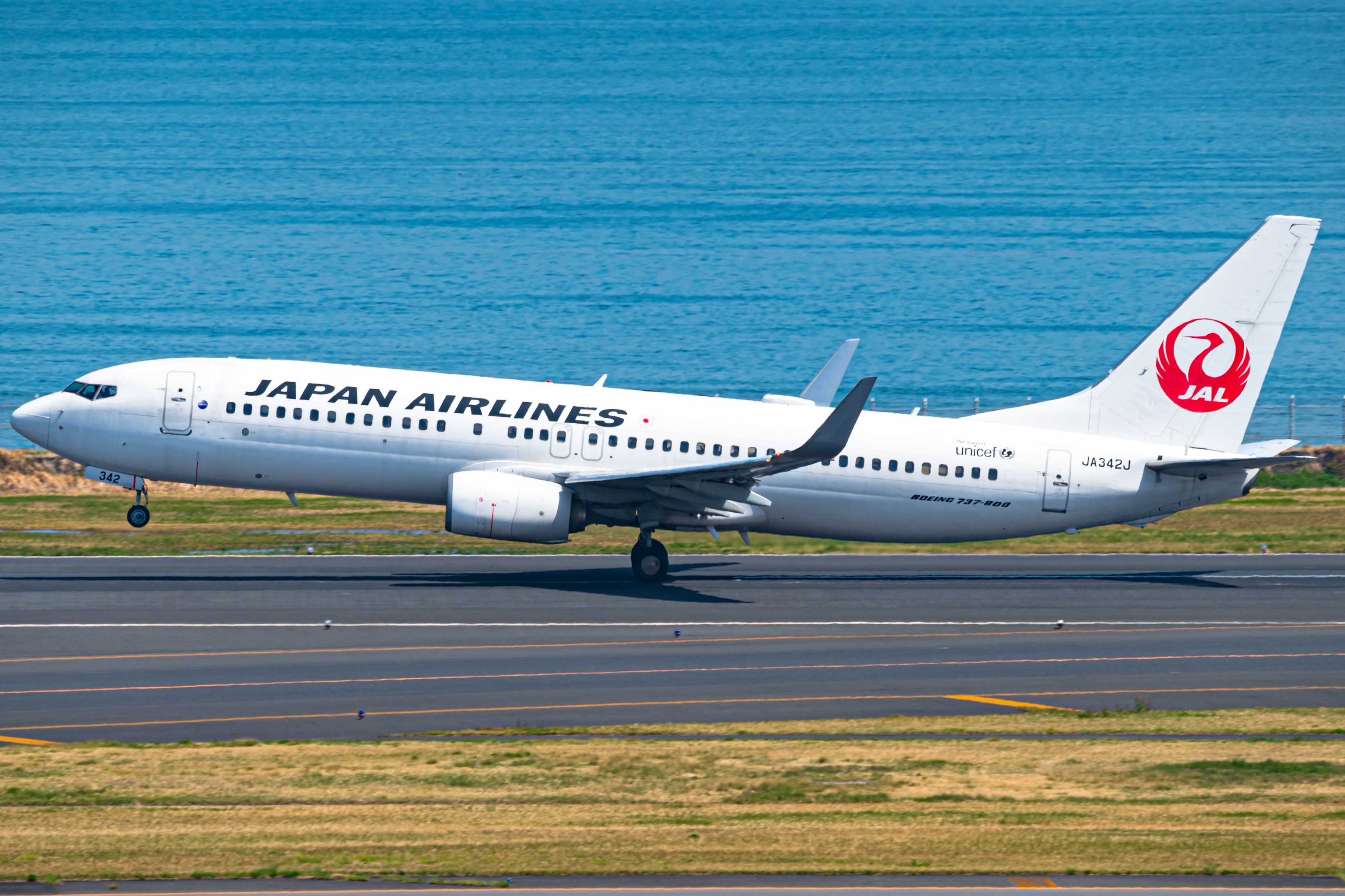 Full size: Japan Airlines JA342J Boeing 737-800 at Tokyo-Haneda Airport