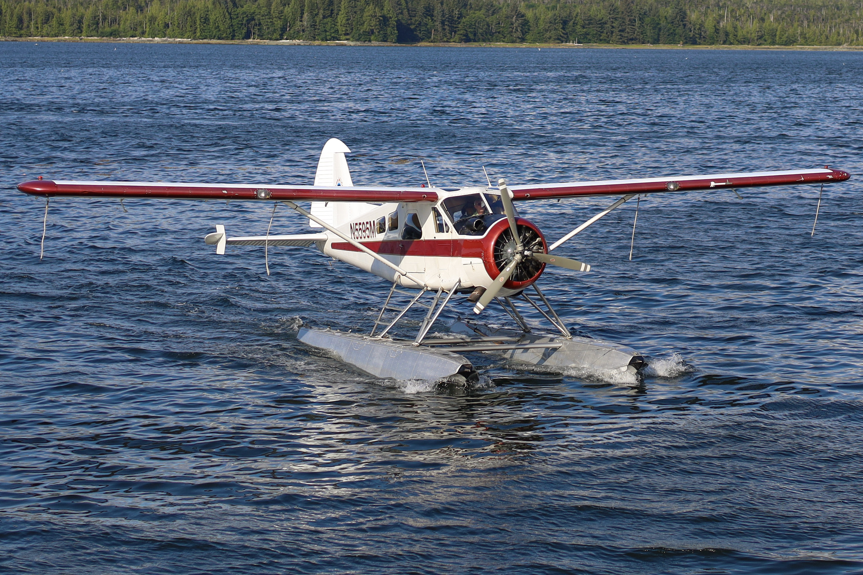 Full size: PRIVATE De Havilland DHC-2 N5595M at Not Applicable