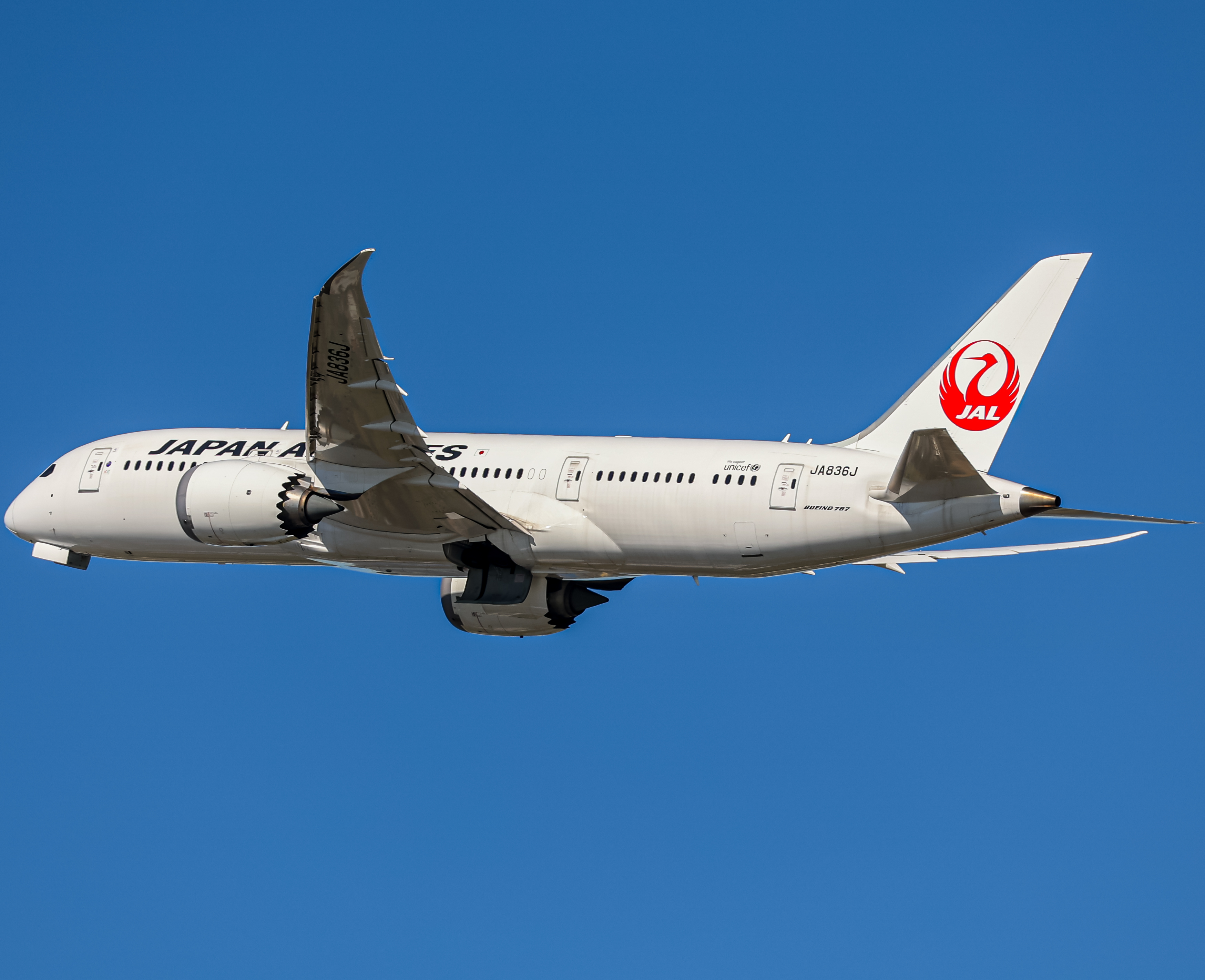 Full size: Japan Airlines Boeing 787-8 JA836J at San Diego International Airport