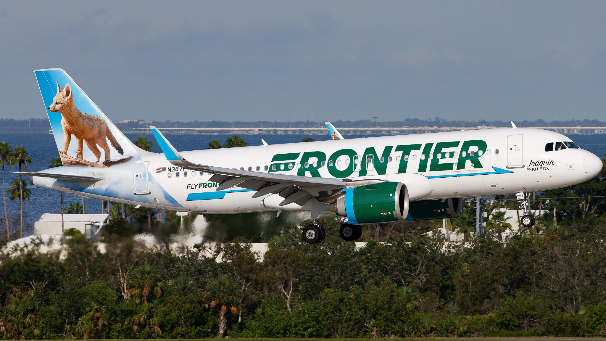 Full size: Frontier Airlines Airbus A320NEO N387FR at Tampa International Airport