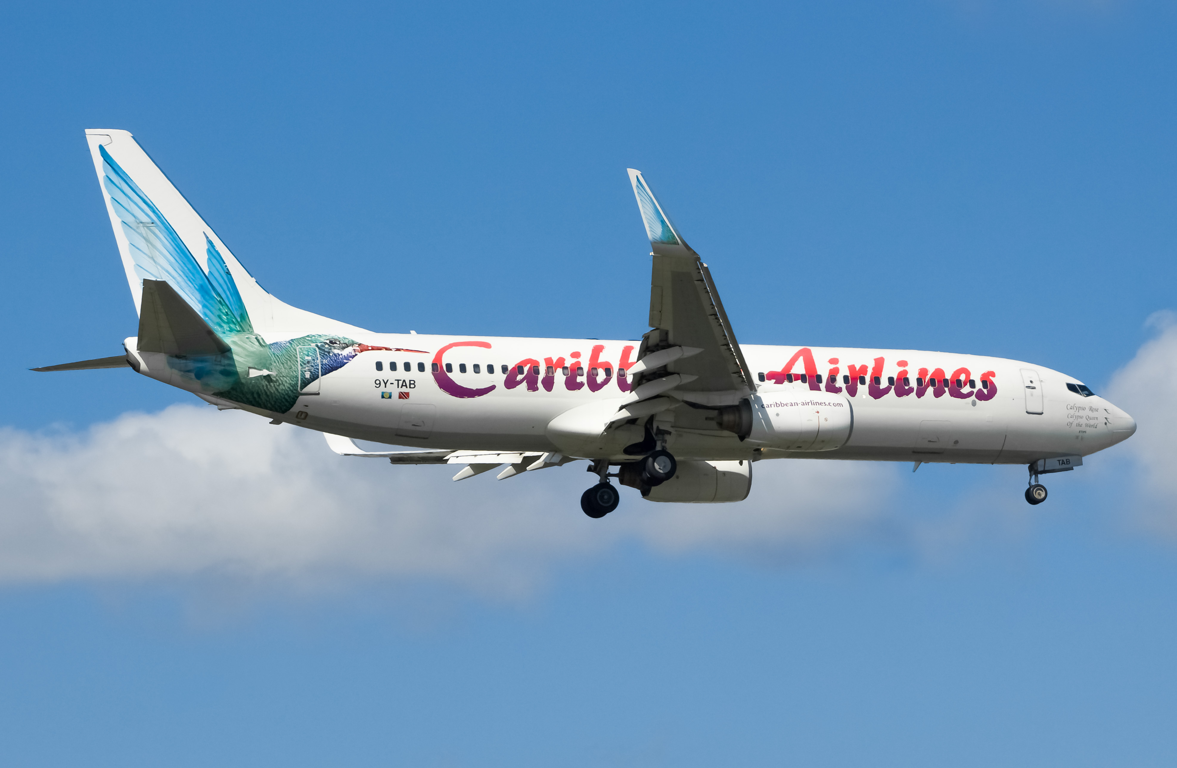 Full size: Caribbean Airlines Boeing 737-8Q8 9Y-TAB at John F. Kennedy International Airport