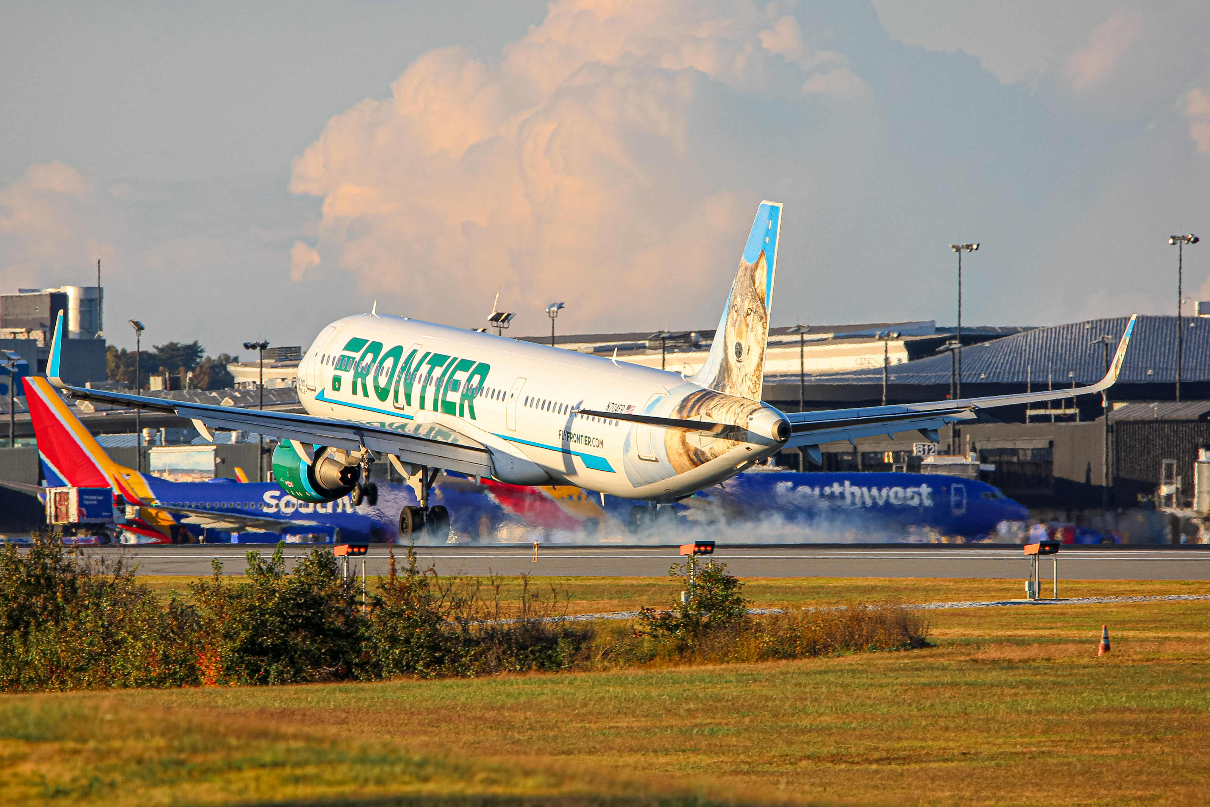 Full size: Frontier Airlines Airbus A321-200 N704FR at Baltimore/Washington International Thurgood Marshall Airport