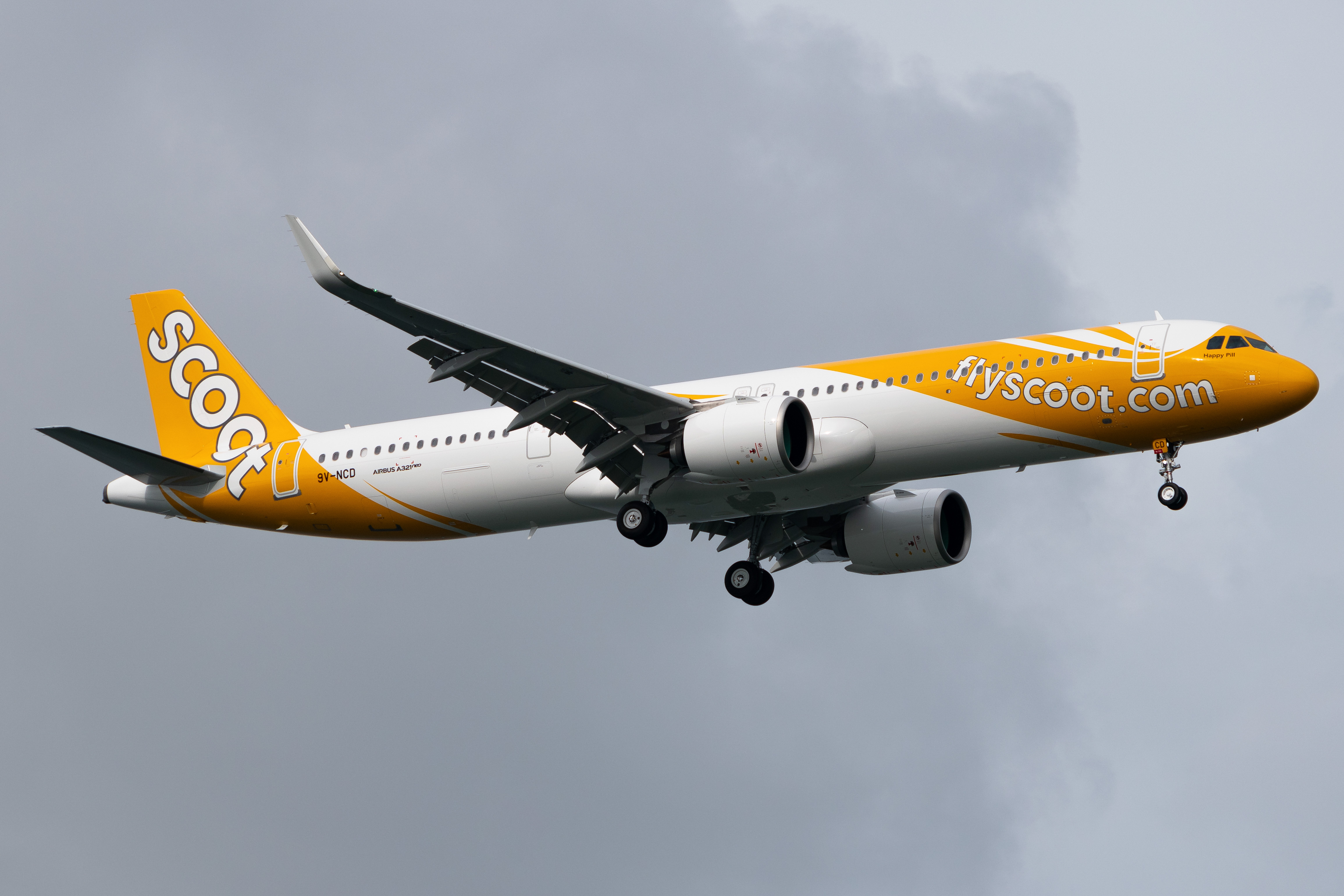 Full size: Scoot Airbus A321NEO 9V-NCD at Singapore-Changi Airport