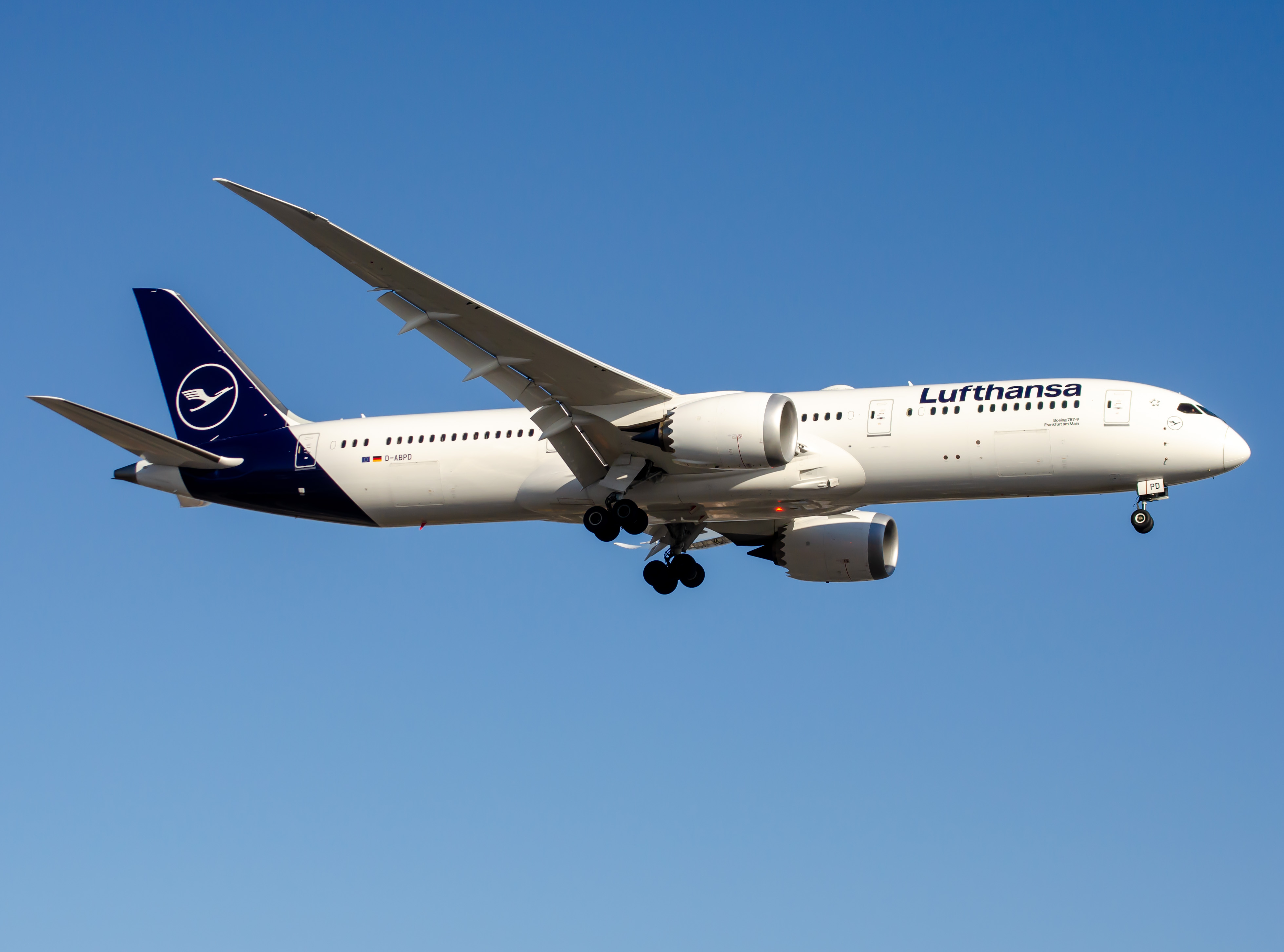 Full size: Lufthansa Boeing 787-9 D-ABPD  at Newark Liberty International Airport